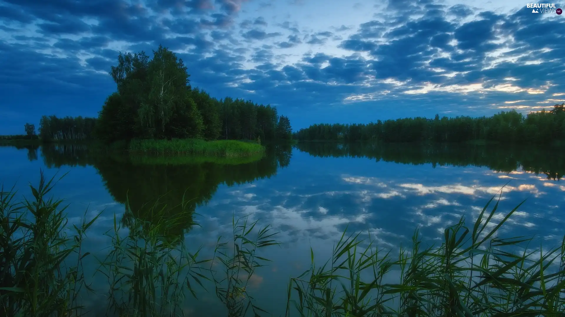 forest, trees, Sky, viewes, lake, cane, reflection