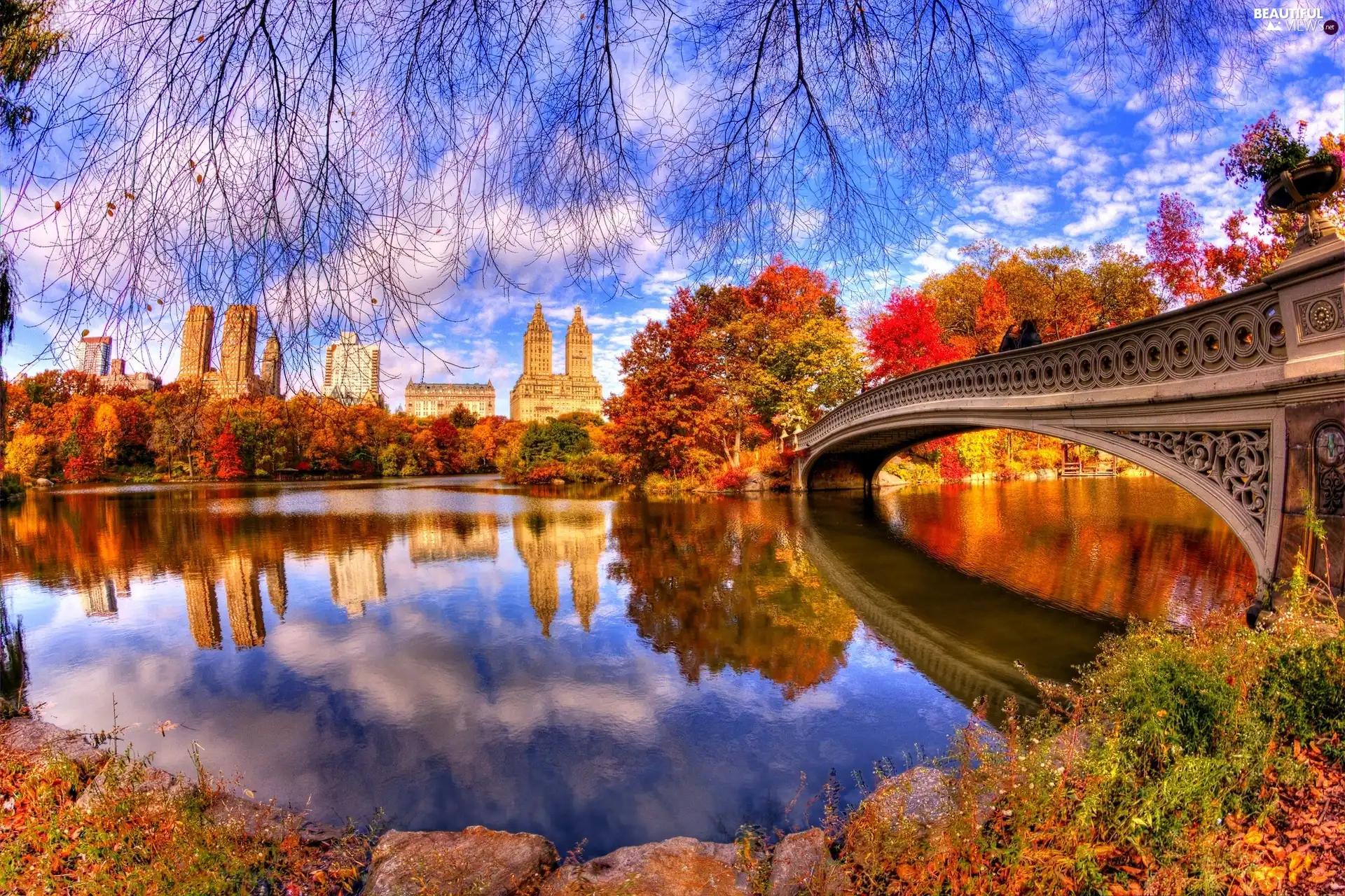 color, River, viewes, skyscrapers, trees, bridge