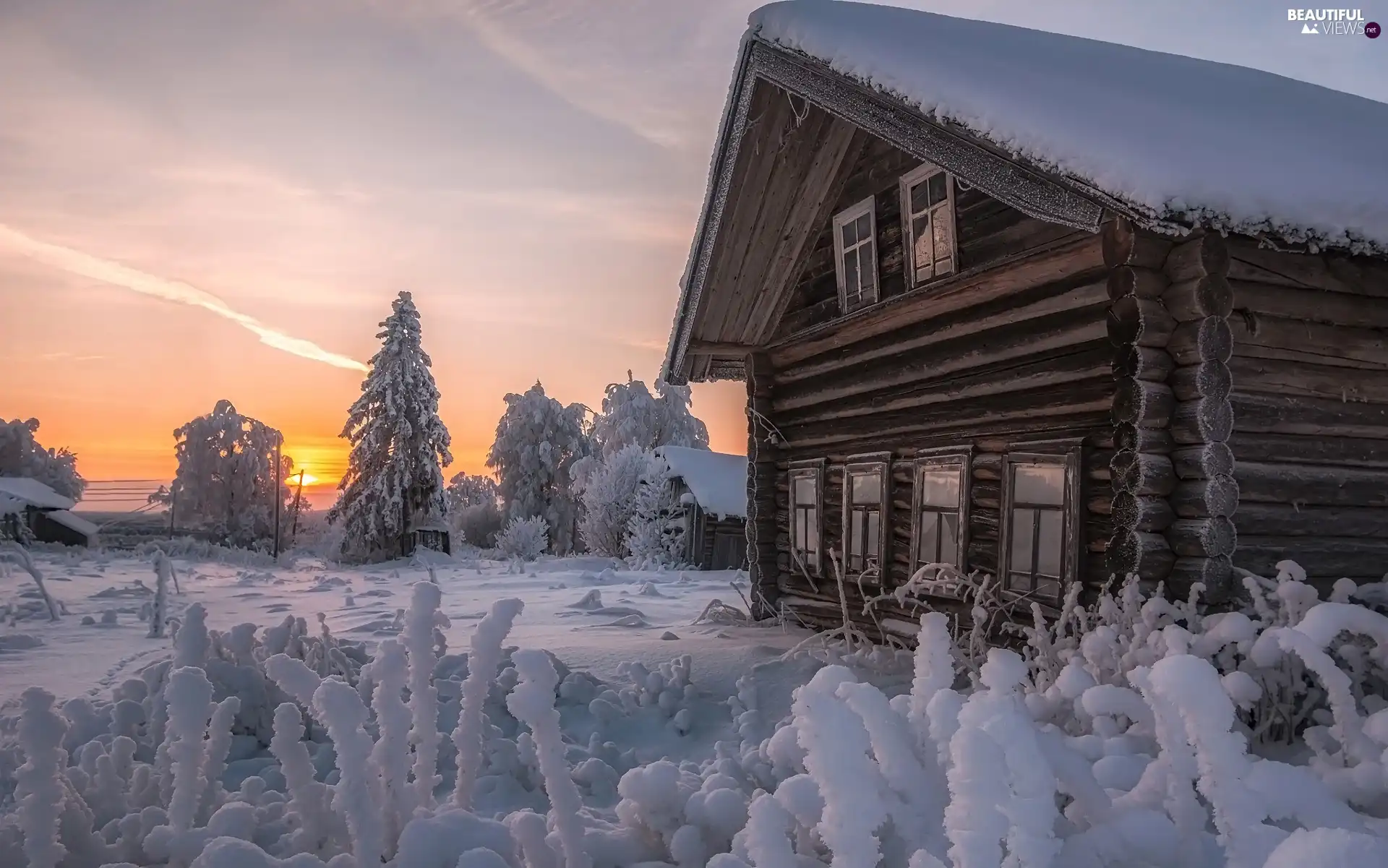 wooden, house, snow, trees, Plants, Houses, winter, viewes