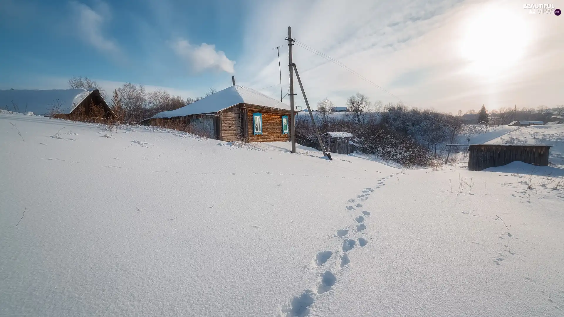 trees, viewes, snow, traces, house