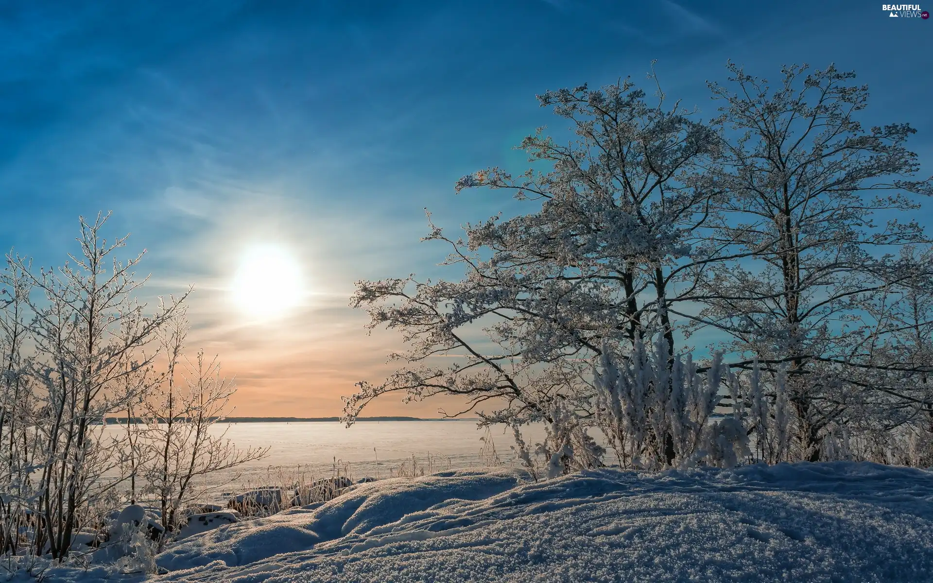 trees, sun, Bush, lake, east, viewes, snow