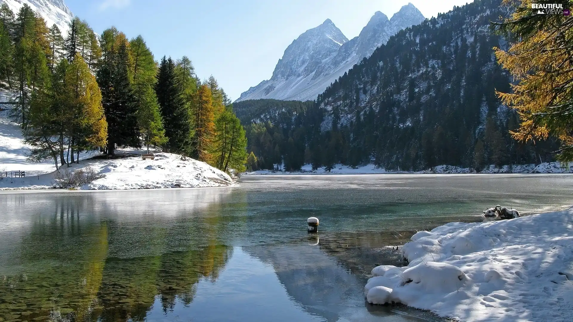 viewes, snow, lake, trees, Mountains