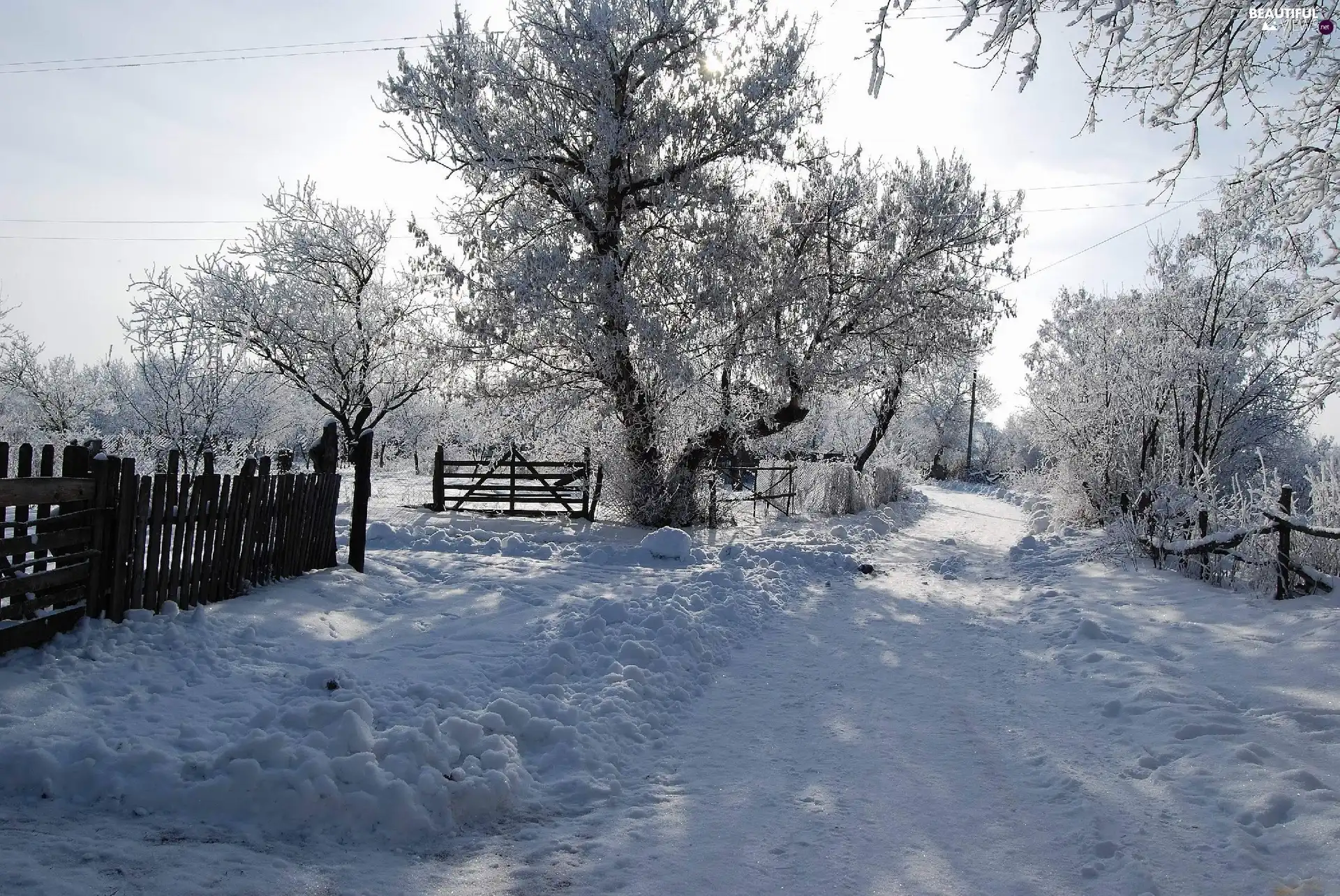 Way, old, viewes, snow, trees, Fences