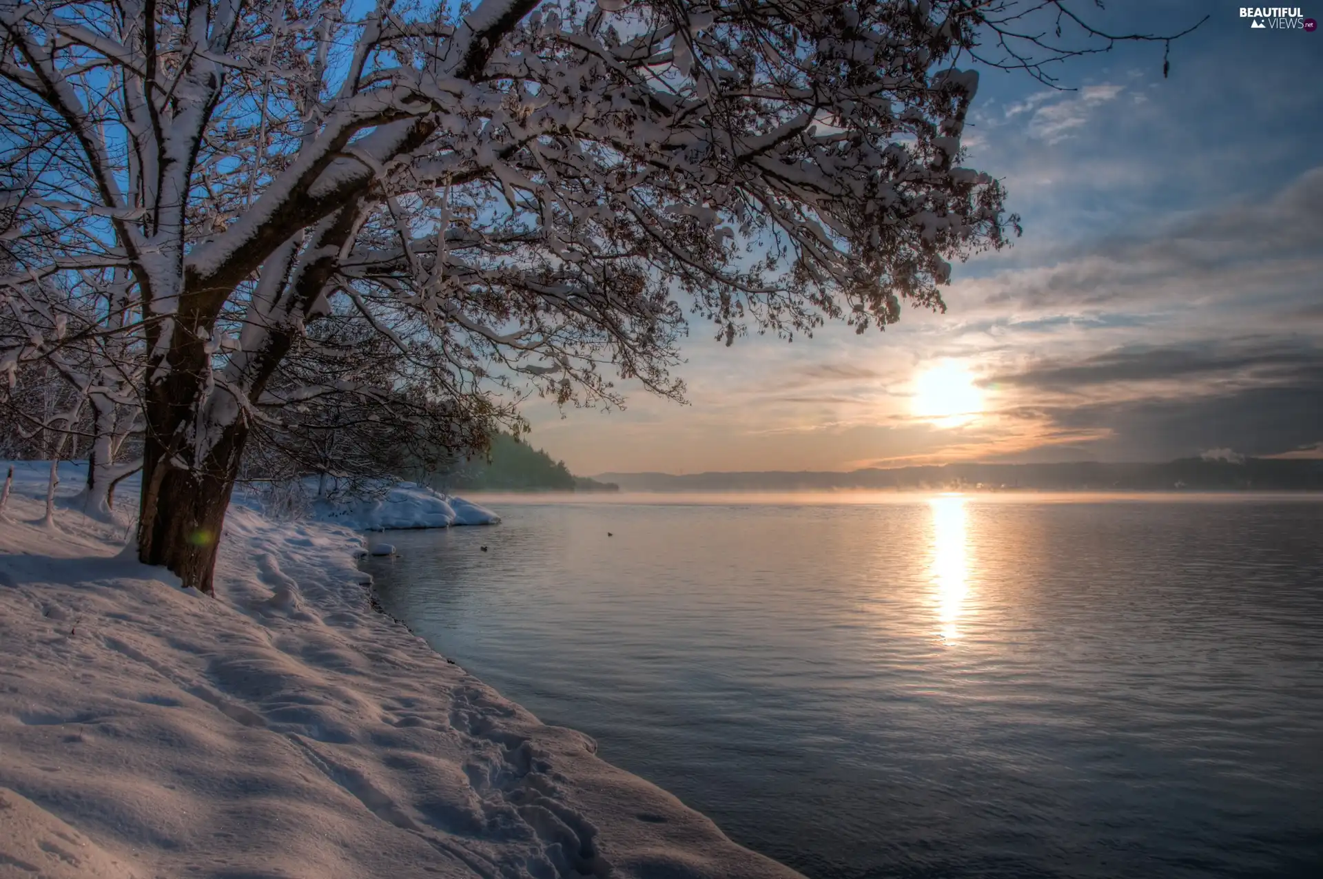 sun, River, viewes, snow, trees, west