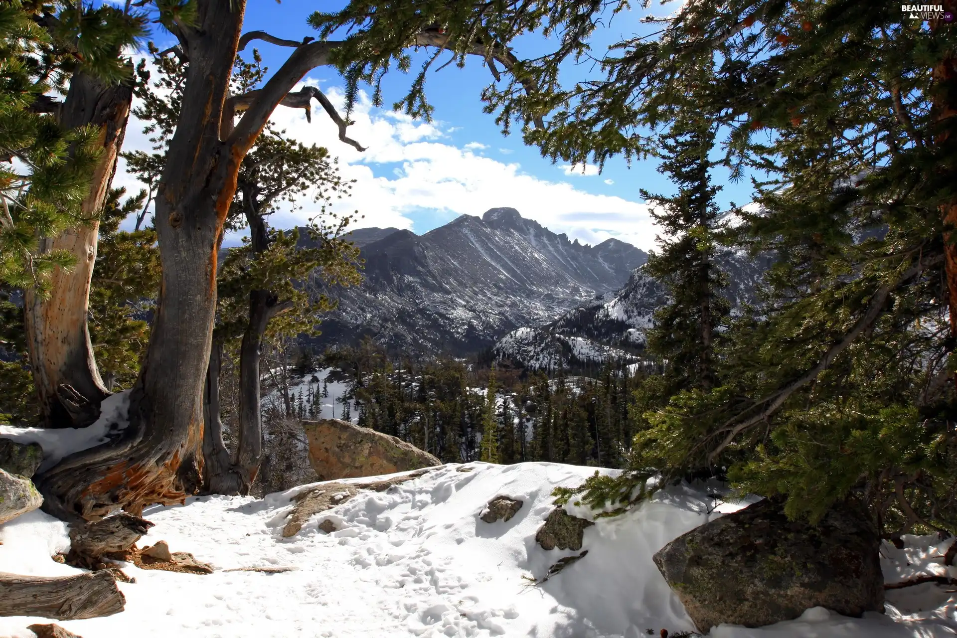 viewes, snow, Mountains, trees, winter