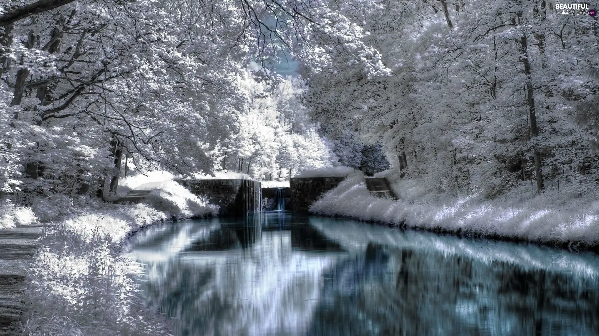 viewes, snow, River, trees, winter