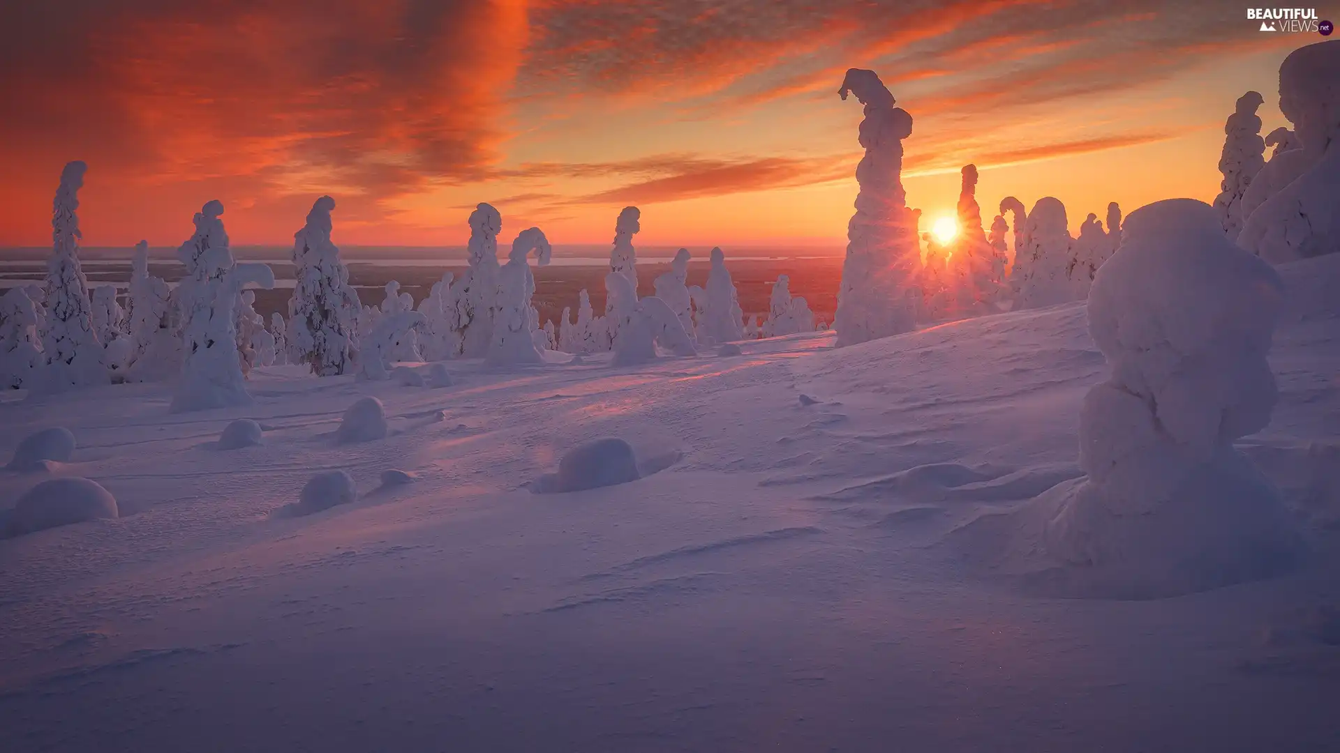 viewes, winter, rays of the Sun, Great Sunsets, Snowy, trees