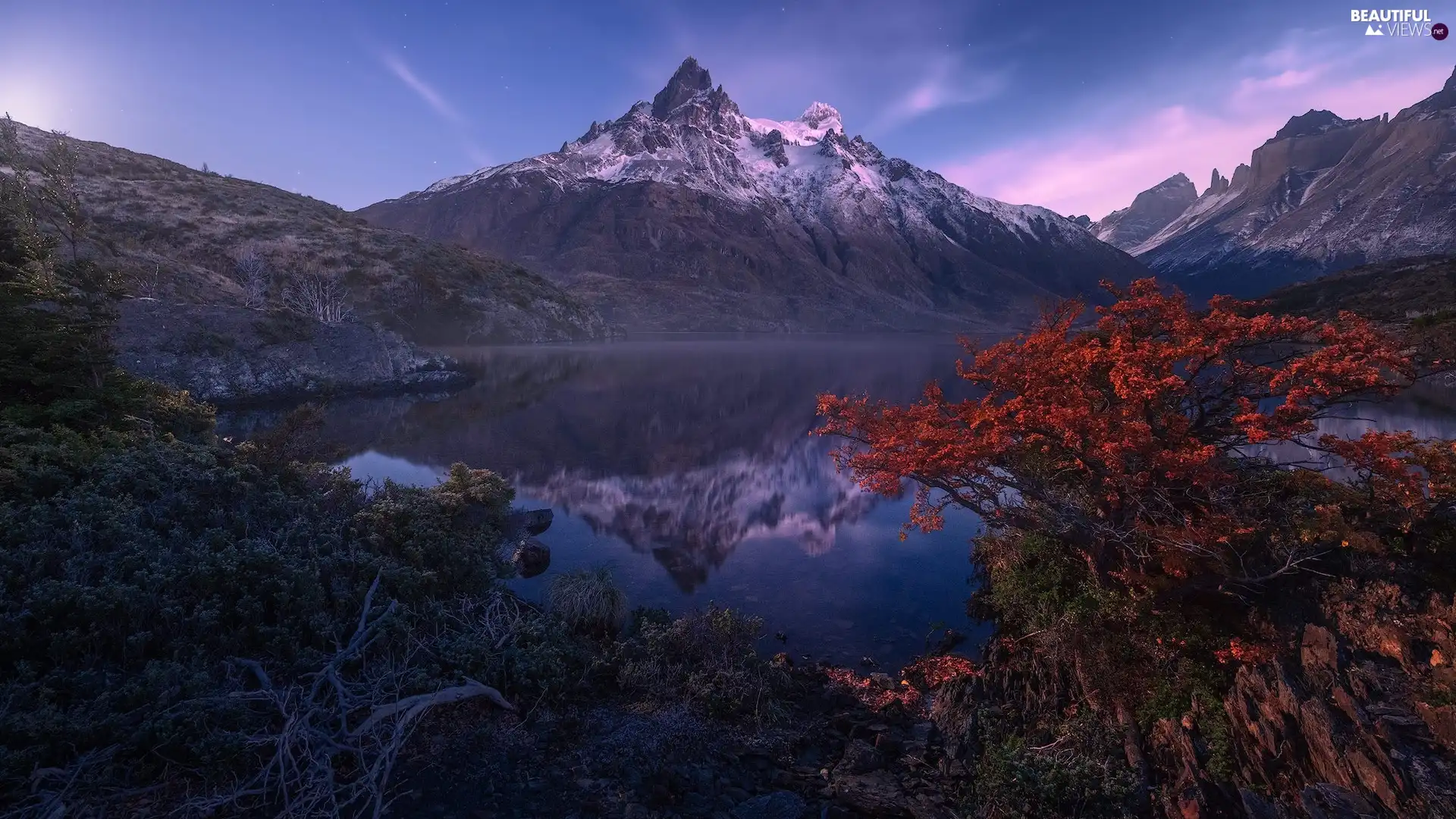 mount, Mountains, trees, viewes, lake, snowy