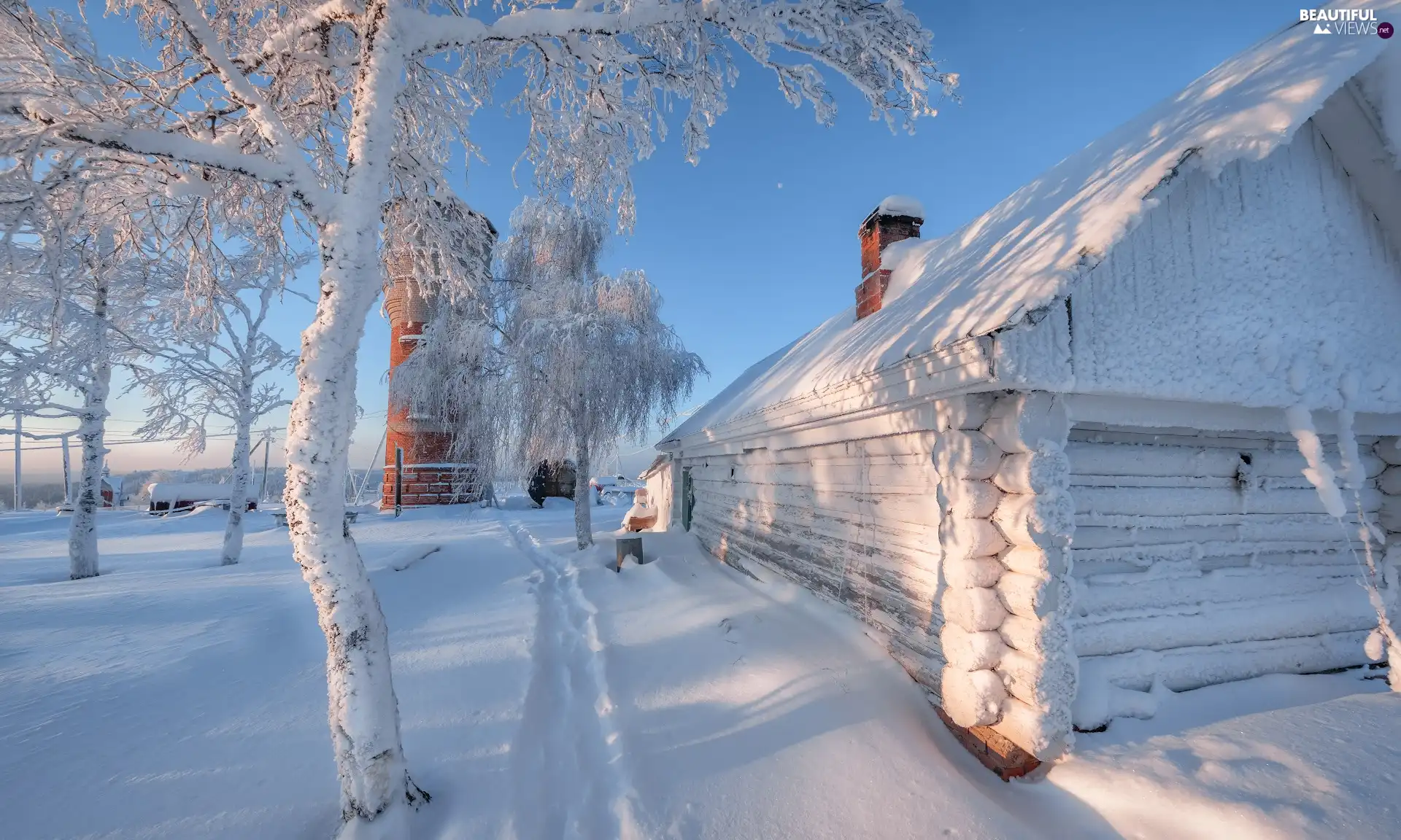 wooden, winter, trees, viewes, house, snowy