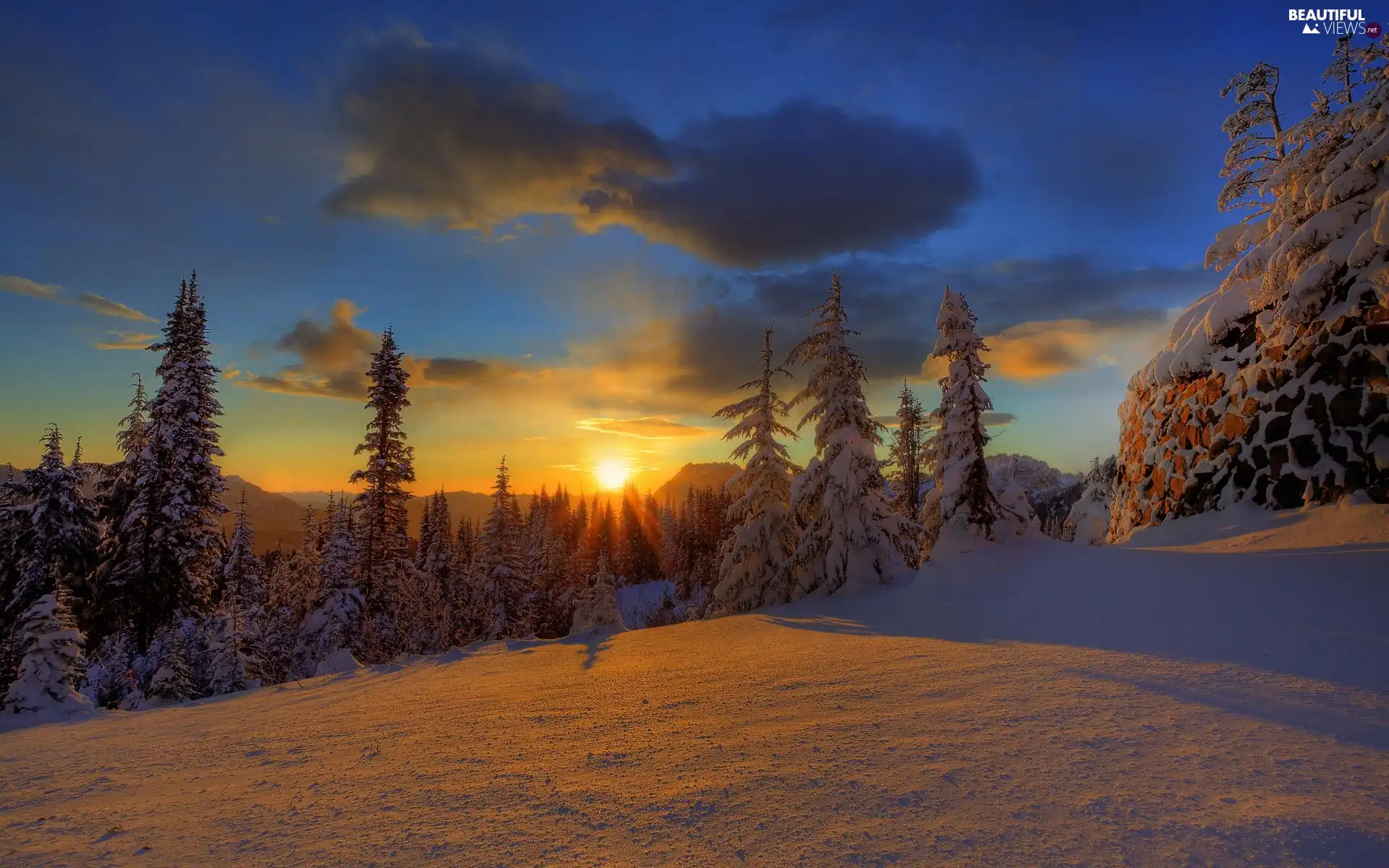 snow, west, viewes, Spruces, trees, sun