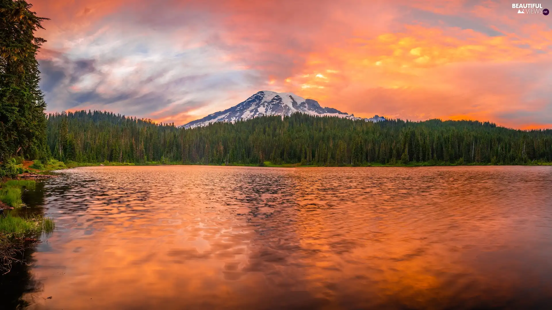 mountains, lake, Stratovolcano Mount Rainier, trees, Washington State, The United States, reflection, Mount Rainier National Park, viewes