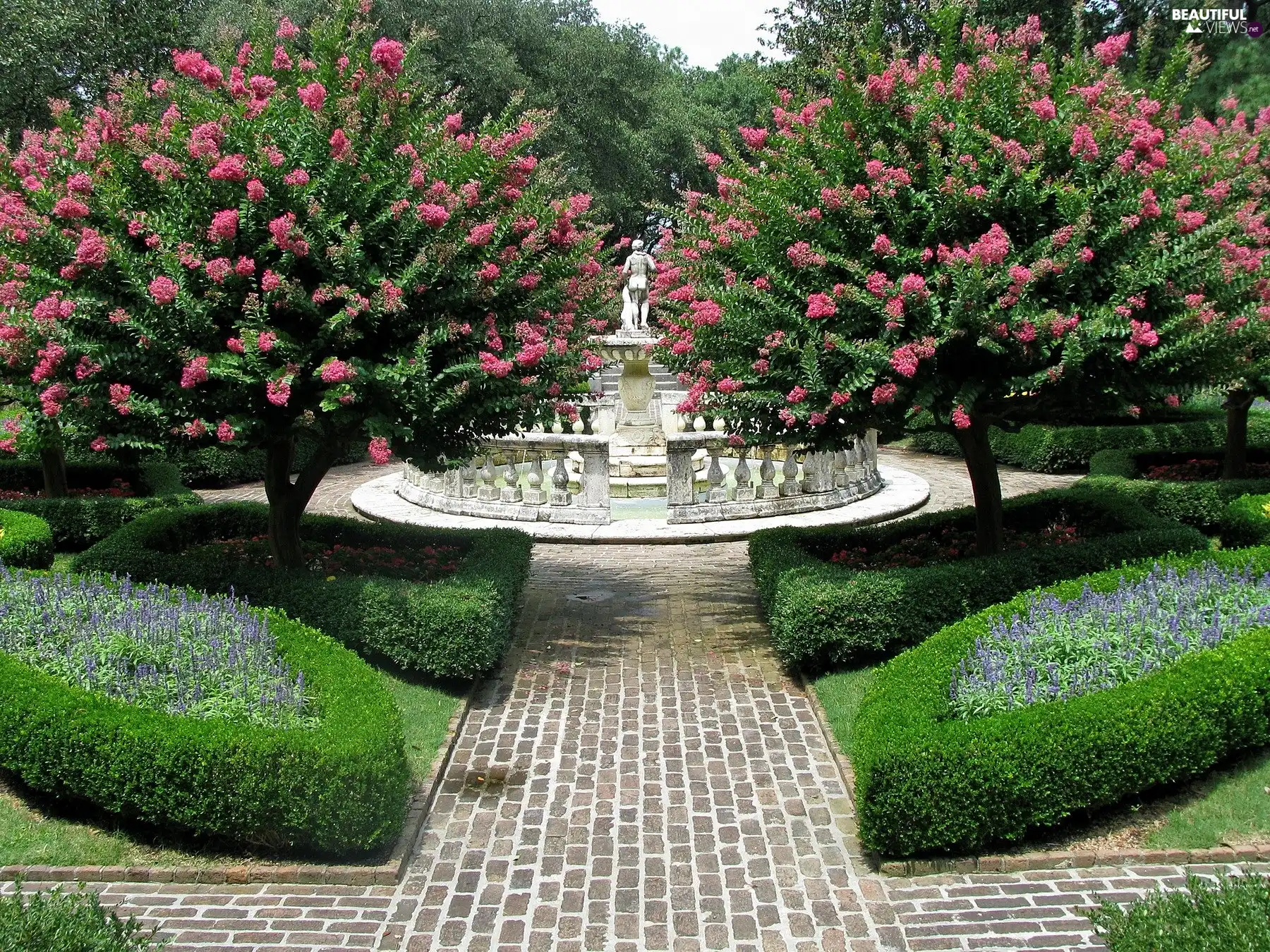 flourishing, Park, viewes, statuette, trees, Hedge