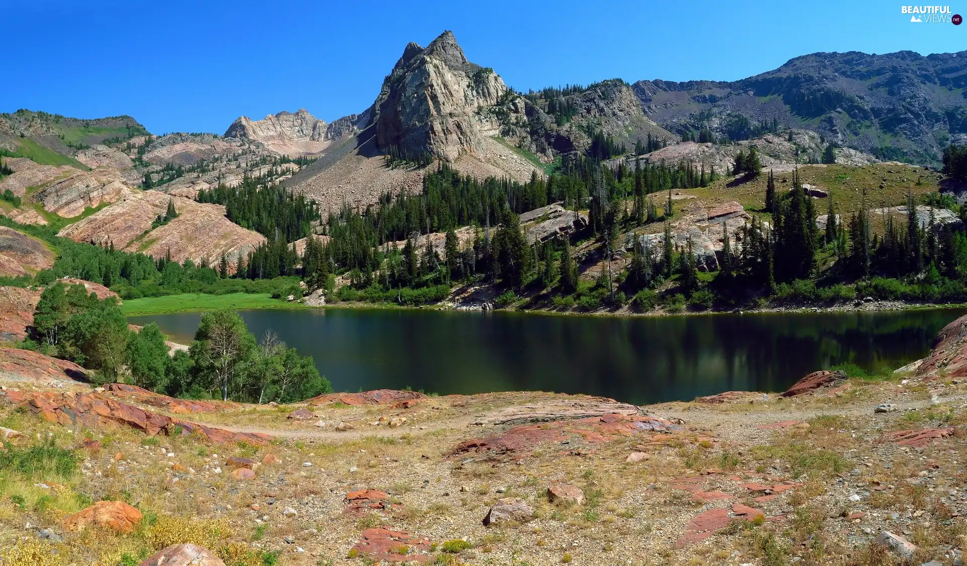 viewes, Stones, lake, trees, Mountains