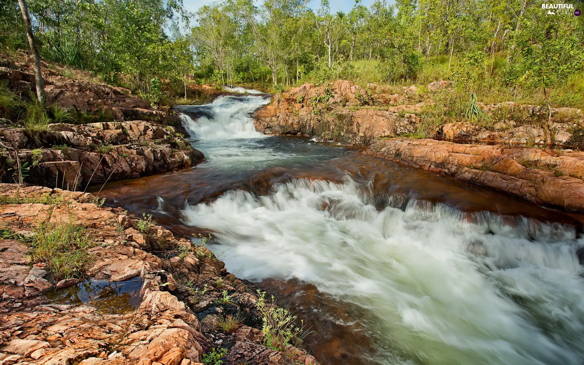 River, trees, viewes, Stones rocks