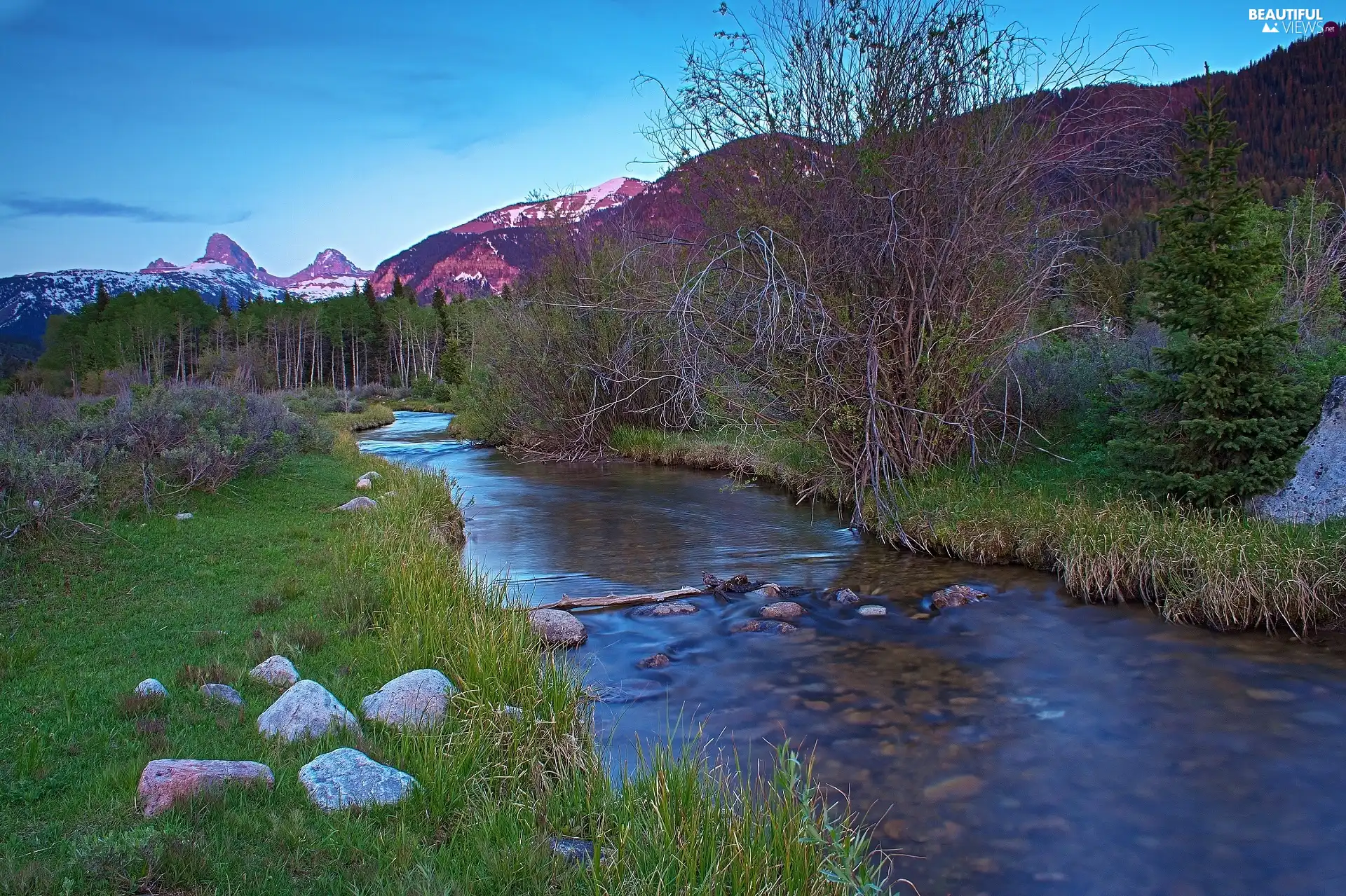 grass, River, viewes, Stones, trees, Mountains