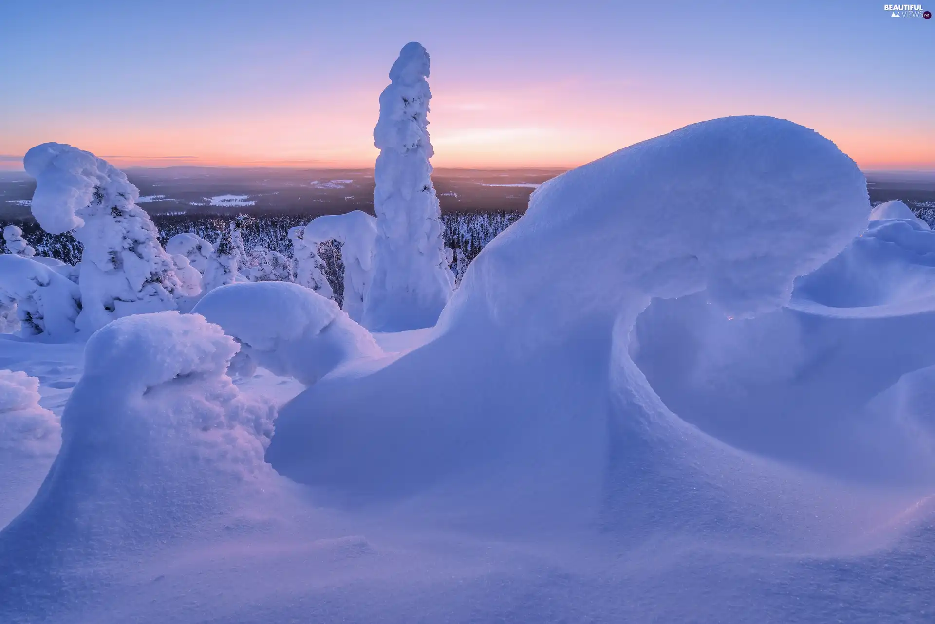 drifts, Snowy, Sunrise, trees, Plants, snow, winter, viewes