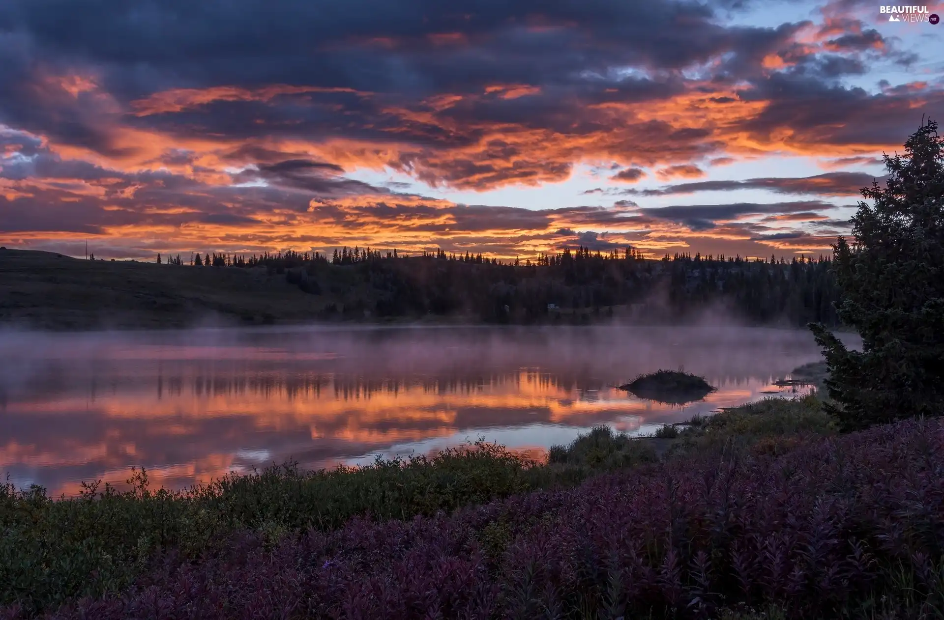 clouds, River, viewes, Sunrise, trees, Fog