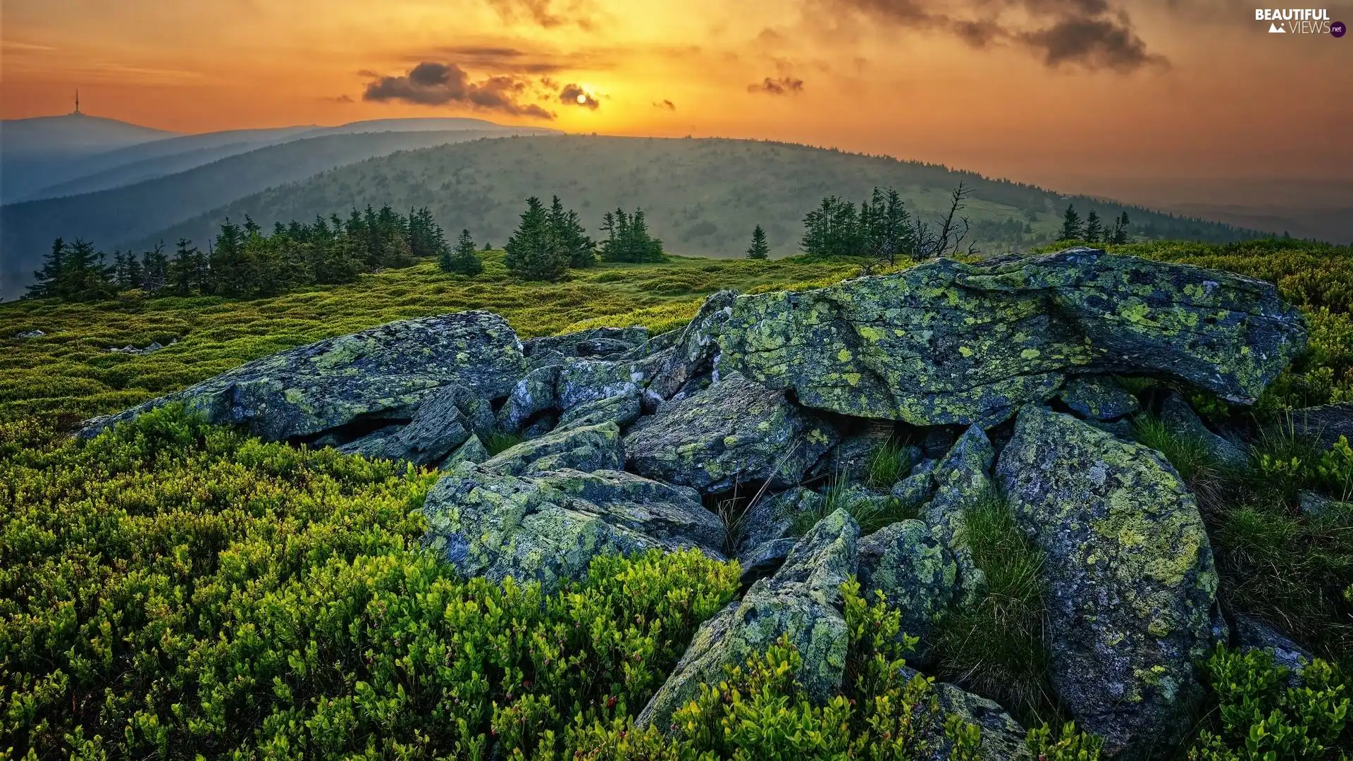 rocks, Great Sunsets, viewes, Plants, trees, Mountains