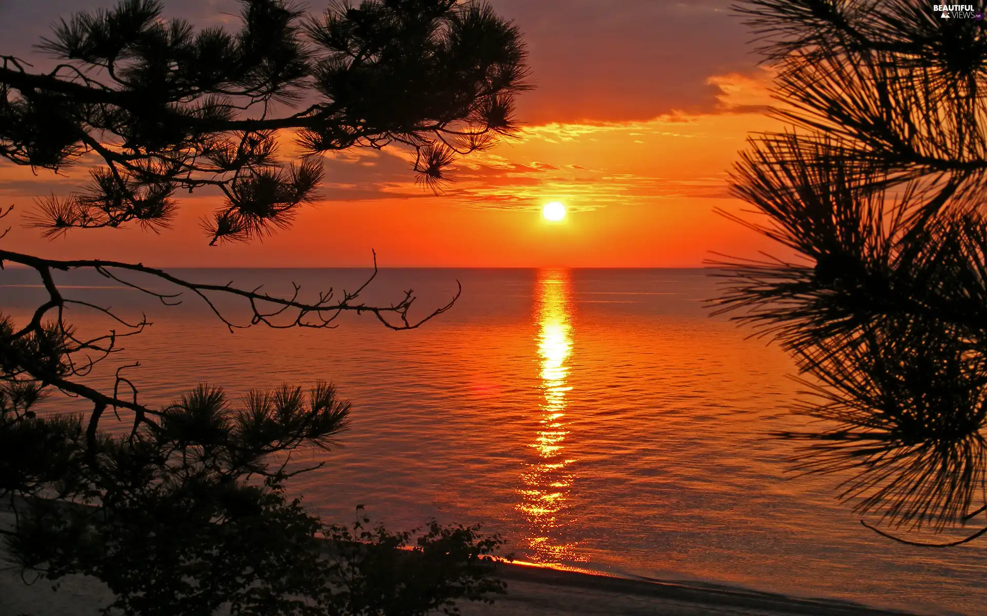 Great Sunsets, trees, viewes, sea