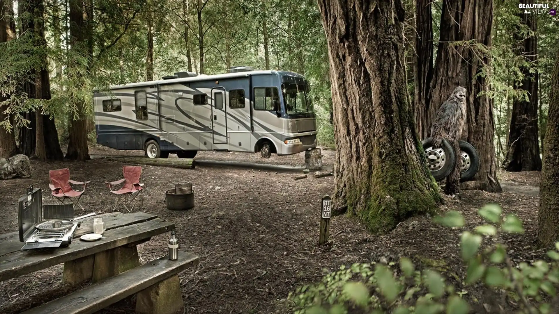 viewes, table, anthropoid, Stool, bus, trees, forest, Old car