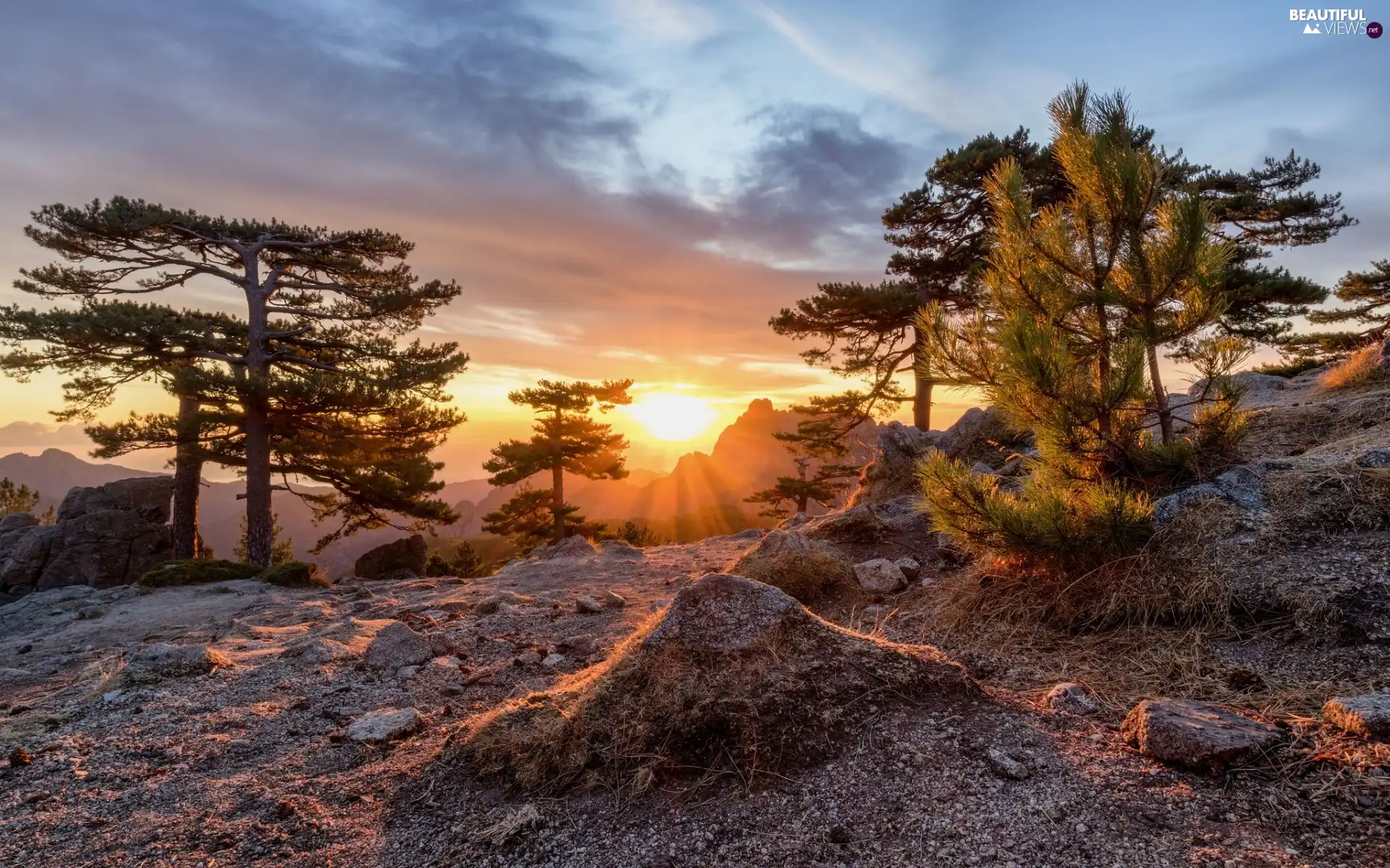 viewes, pine, Great Sunsets, Stones, clouds, trees, rocks, Mountains