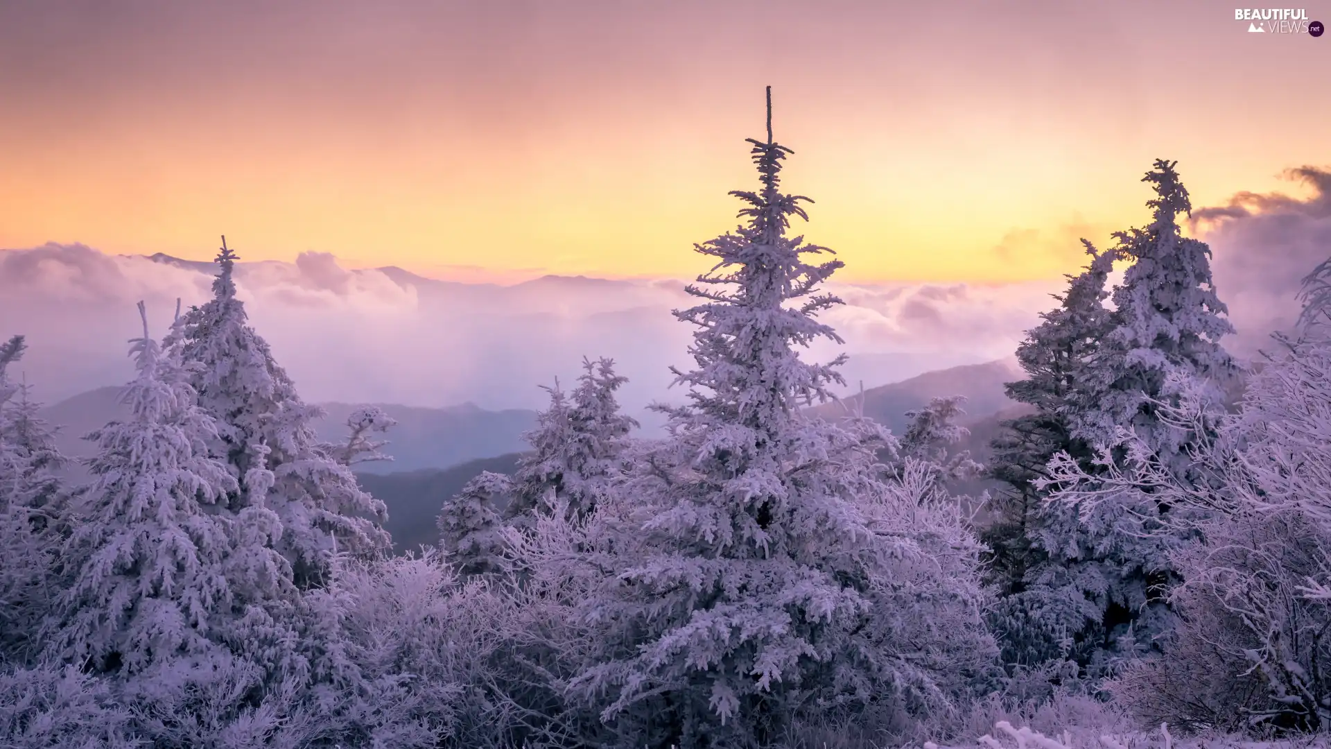 viewes, snow, Great Sunsets, Mountains, clouds, trees, winter, Fog