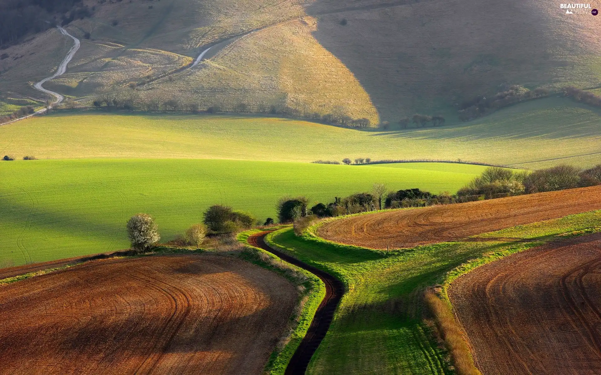 field, England, trees, viewes, Way, Kingston Village