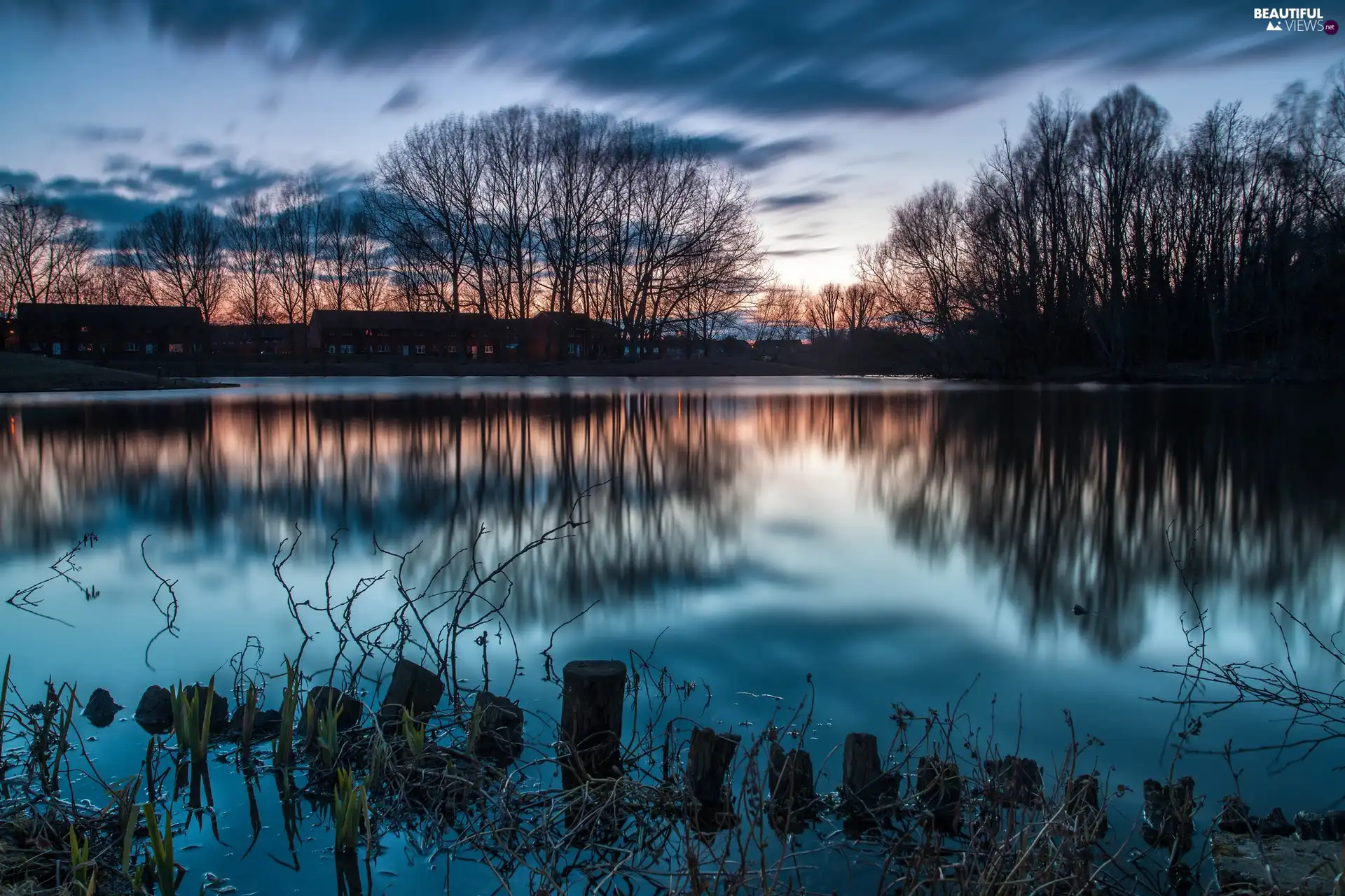 viewes, lake, trees