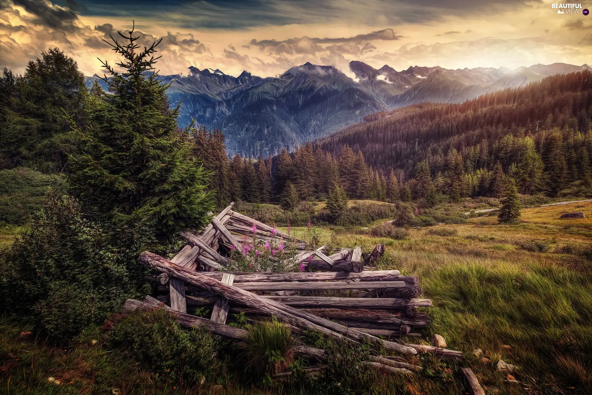 trees, viewes, cote, Valley, destroyed, woods, Mountains, medows