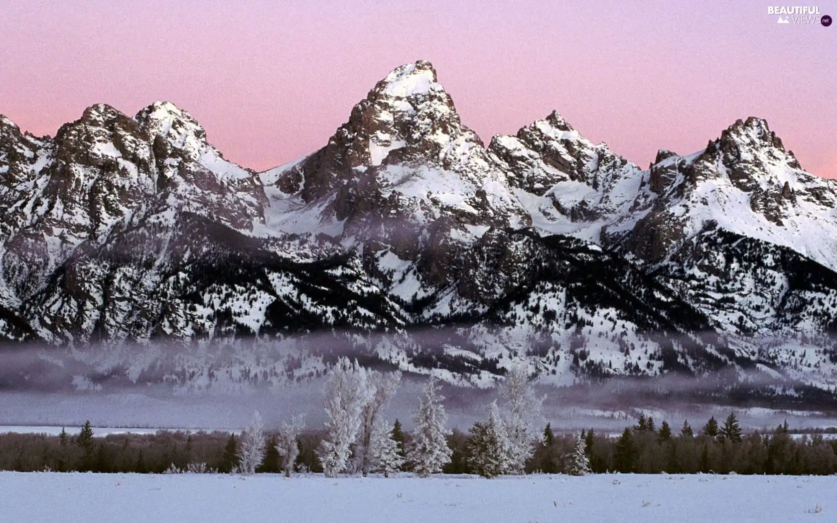 viewes, Mountains, trees