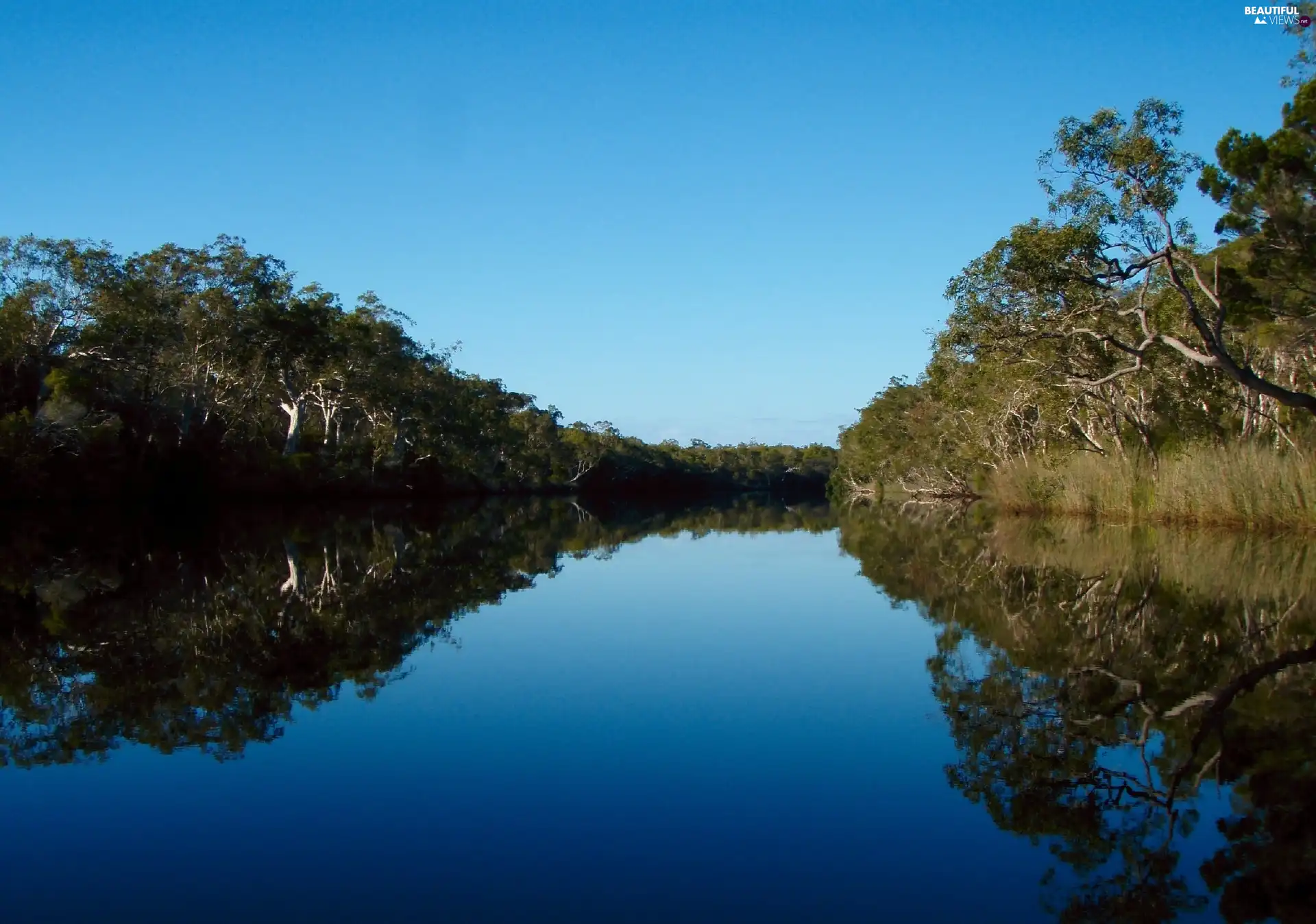 viewes, River, trees