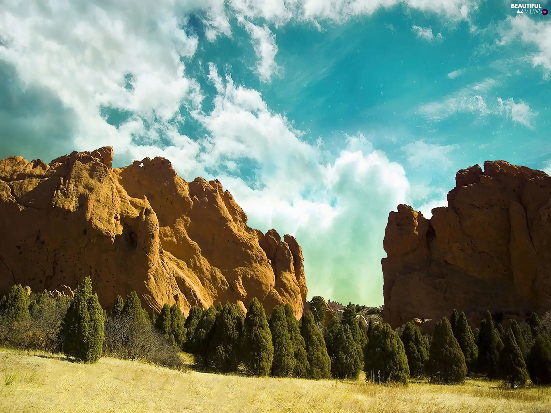 viewes, rocks, trees