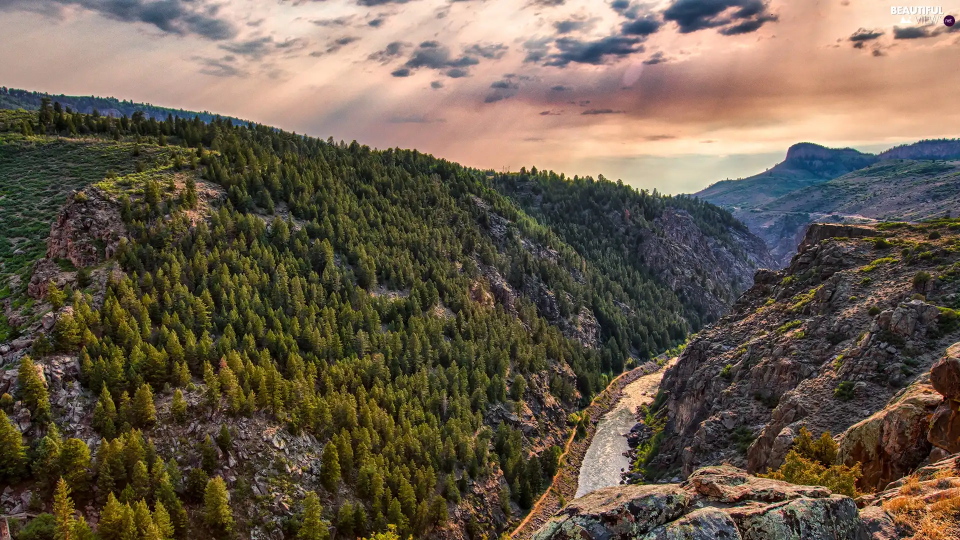 viewes, rocks, trees