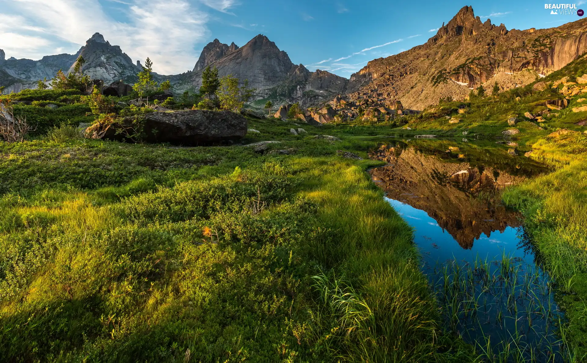 Meadow, rocks, trees, Pond - car, Mountains, grass, viewes