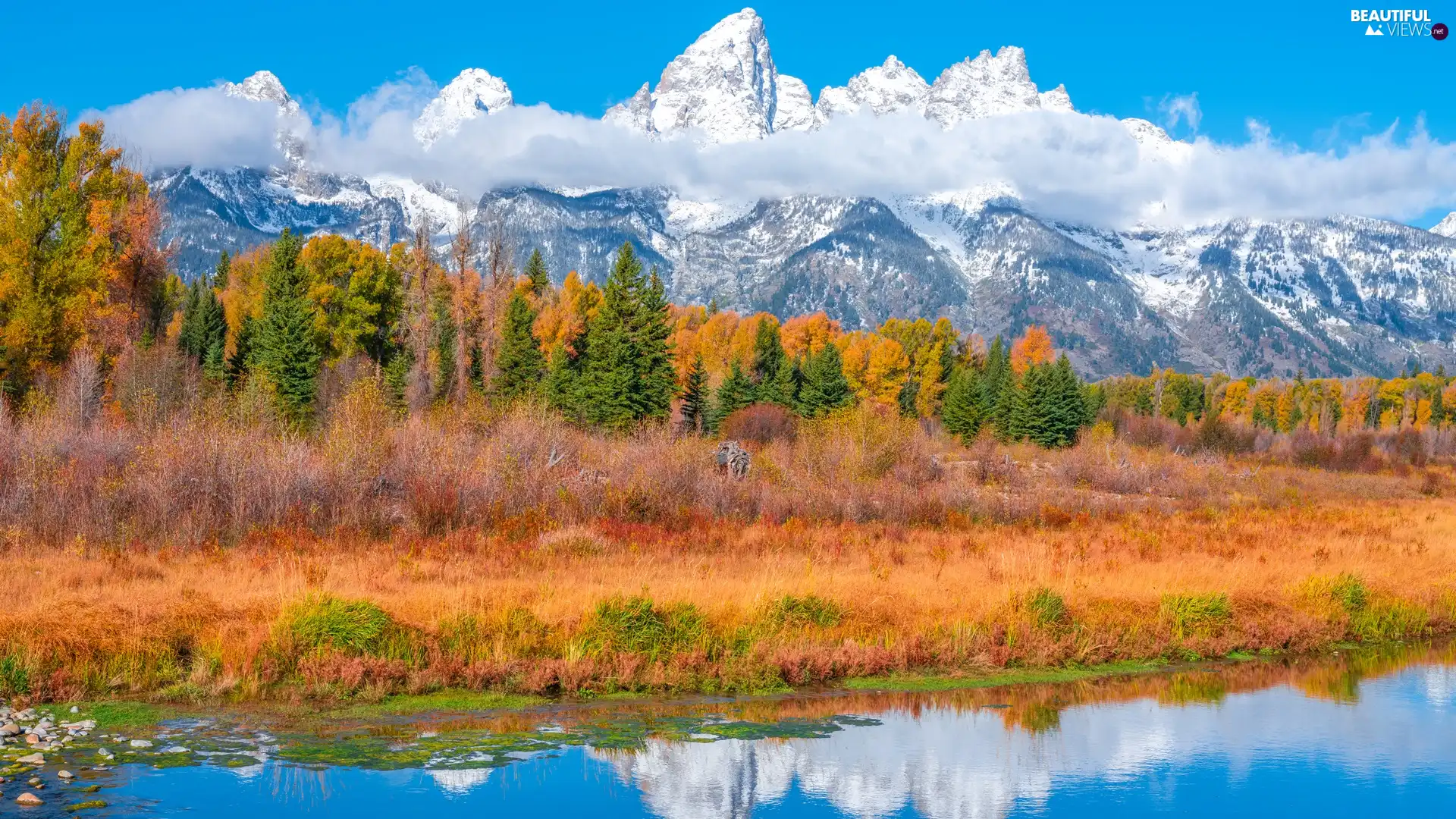 River, Teton Range Mountains, The United States, trees, State of Wyoming, Grand Teton National Park, autumn, viewes
