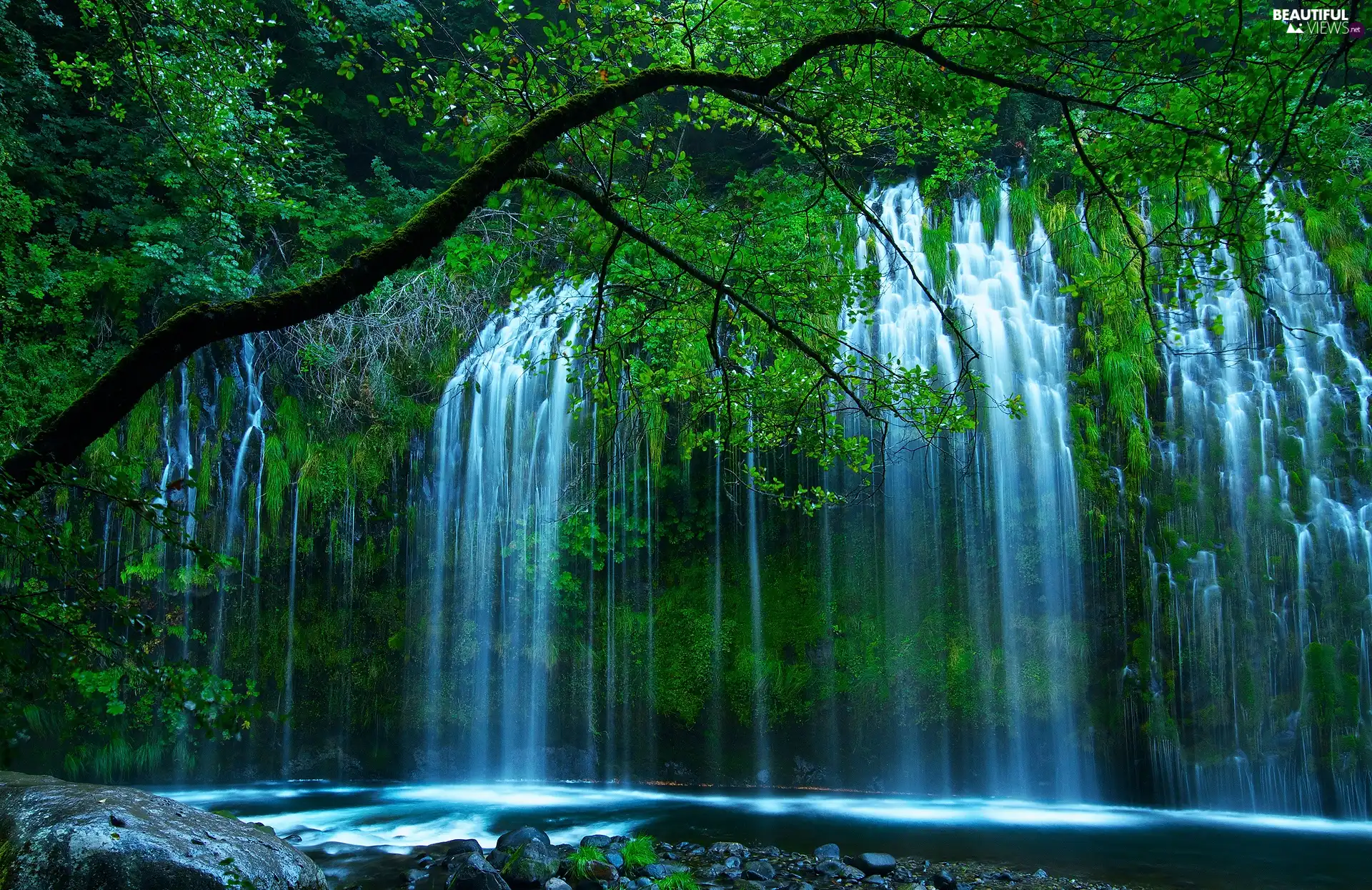 viewes, waterfall, trees