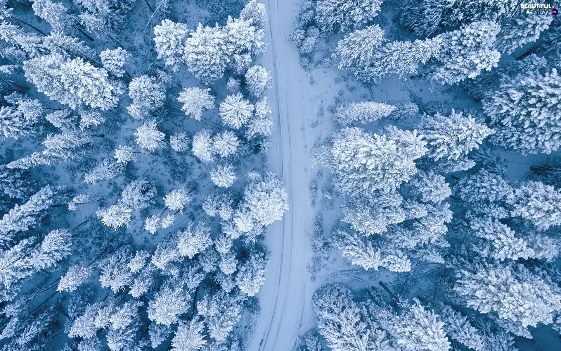 Way, winter, trees, viewes, Aerial View, forest