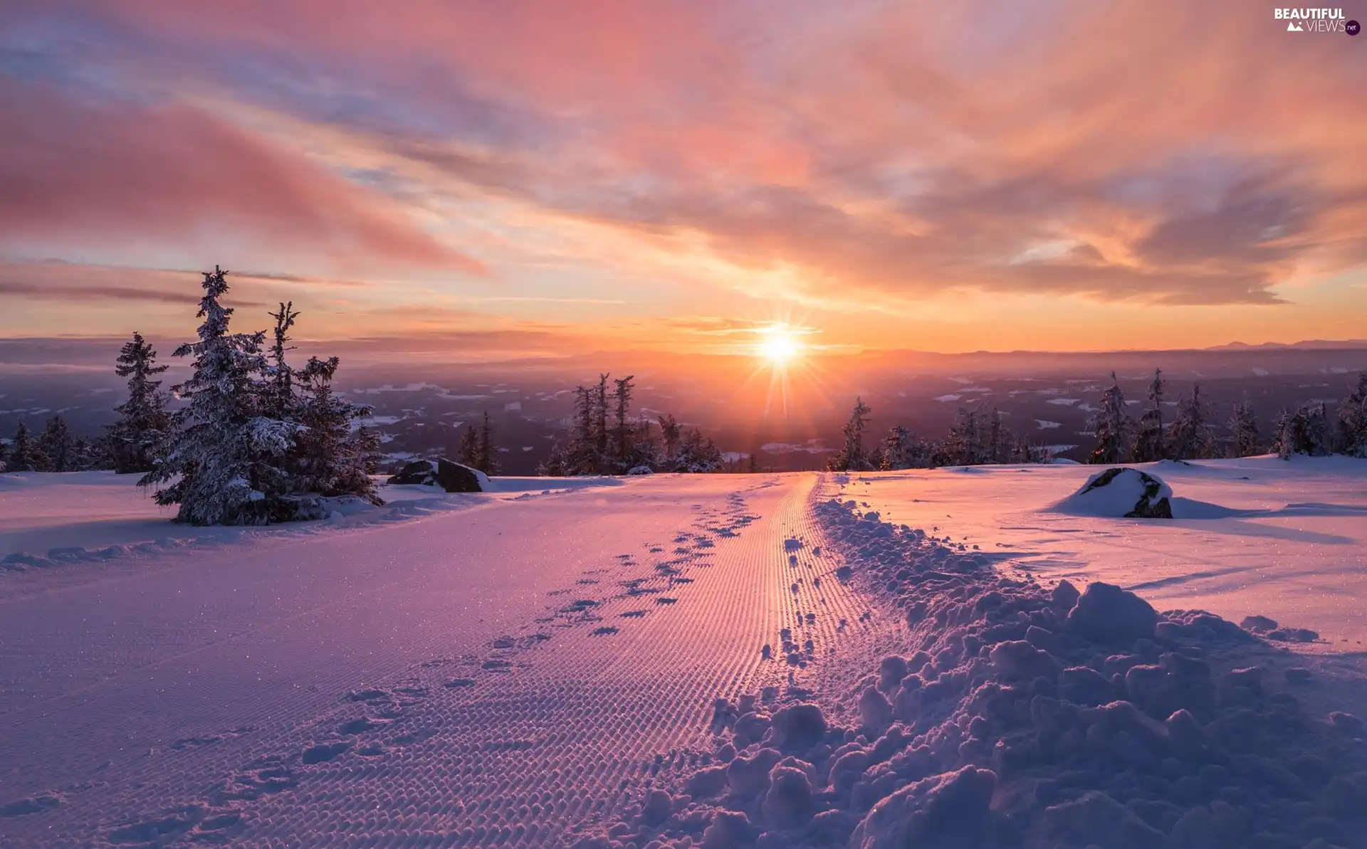 snow, winter, trees, viewes, traces, Great Sunsets
