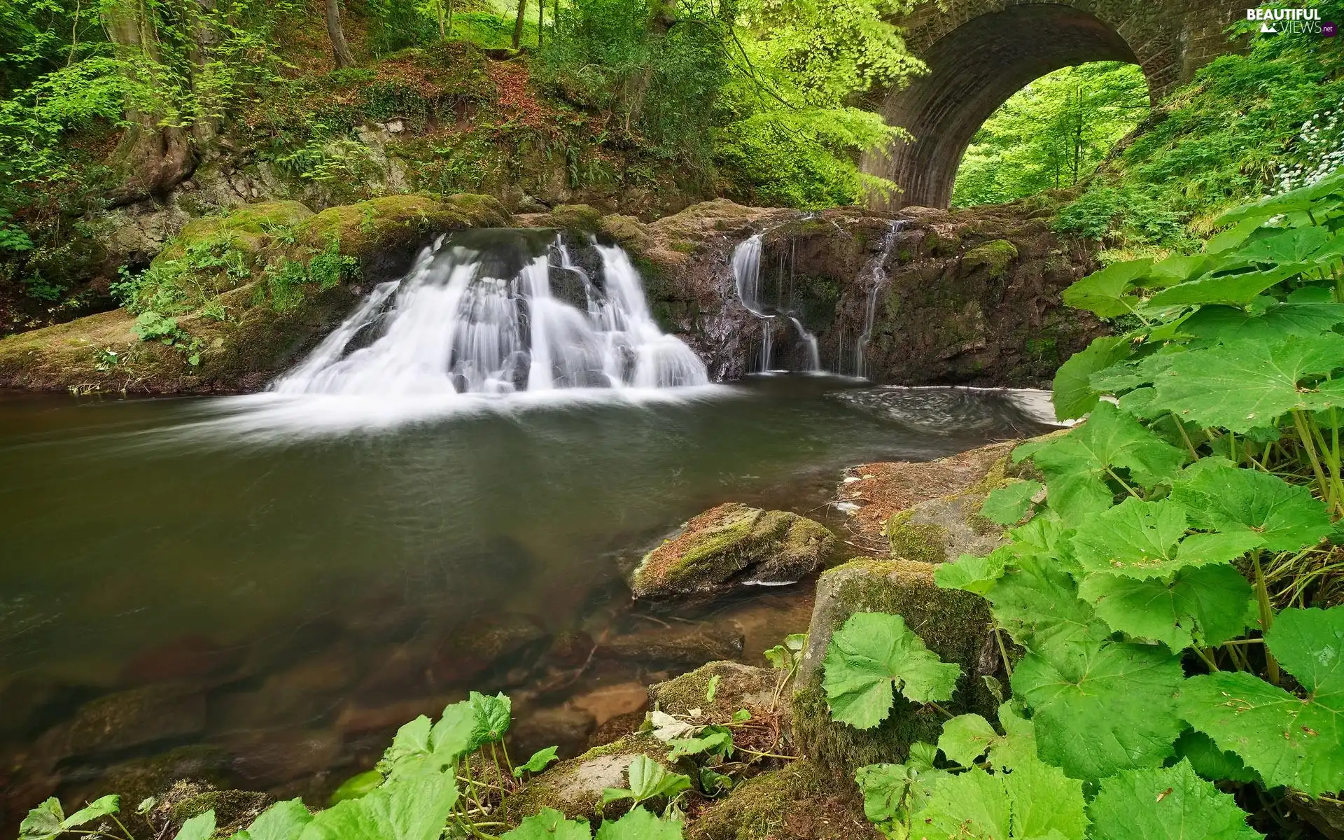 bridge, waterfall, viewes, VEGETATION, trees, rocks