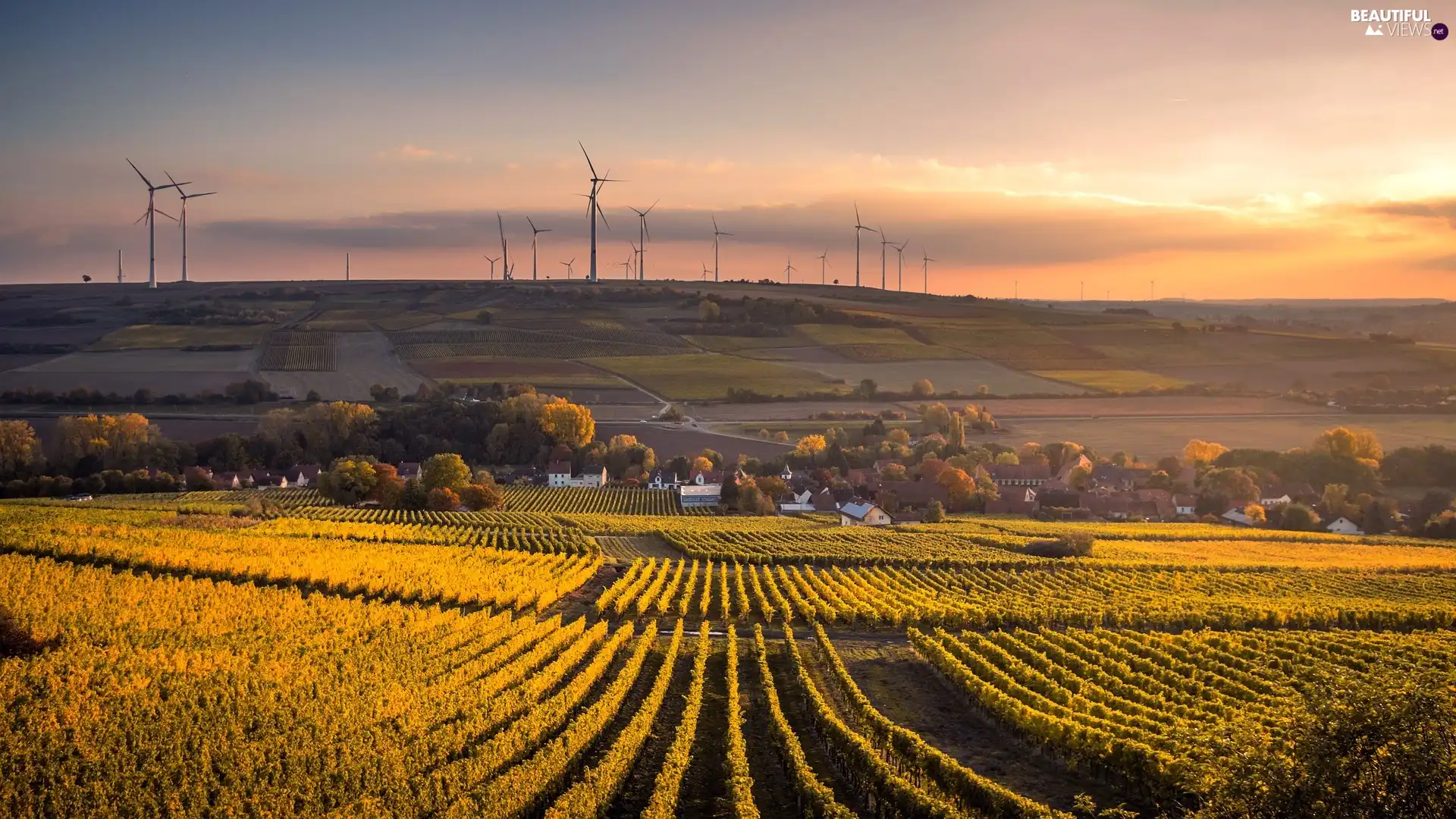 Windmills, Field, trees, viewes, Houses, vineyard