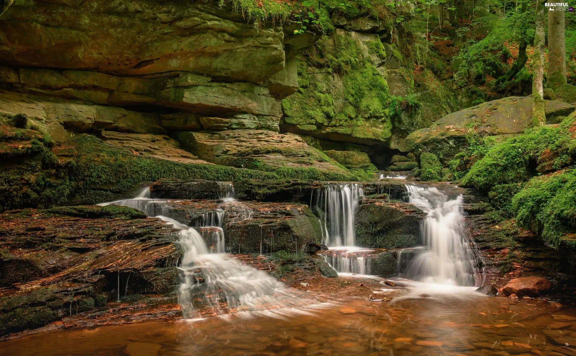 Schwarzwald, Germany, rocks, Monbach Brook, Rocks, Moss, viewes, District Calw, Baden-Württemberg, trees, River
