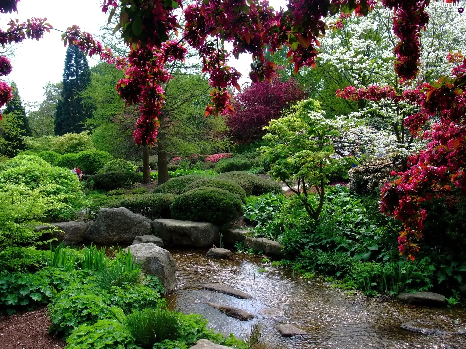 viewes, water, Bush, trees, Park