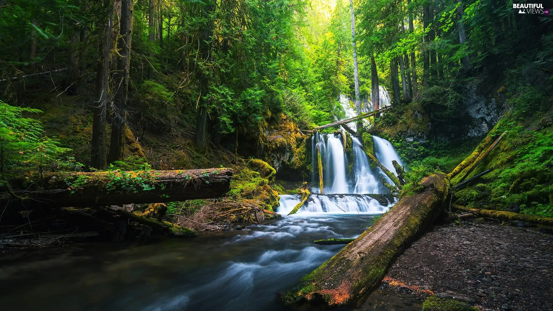 trees, viewes, waterfall, River, forest