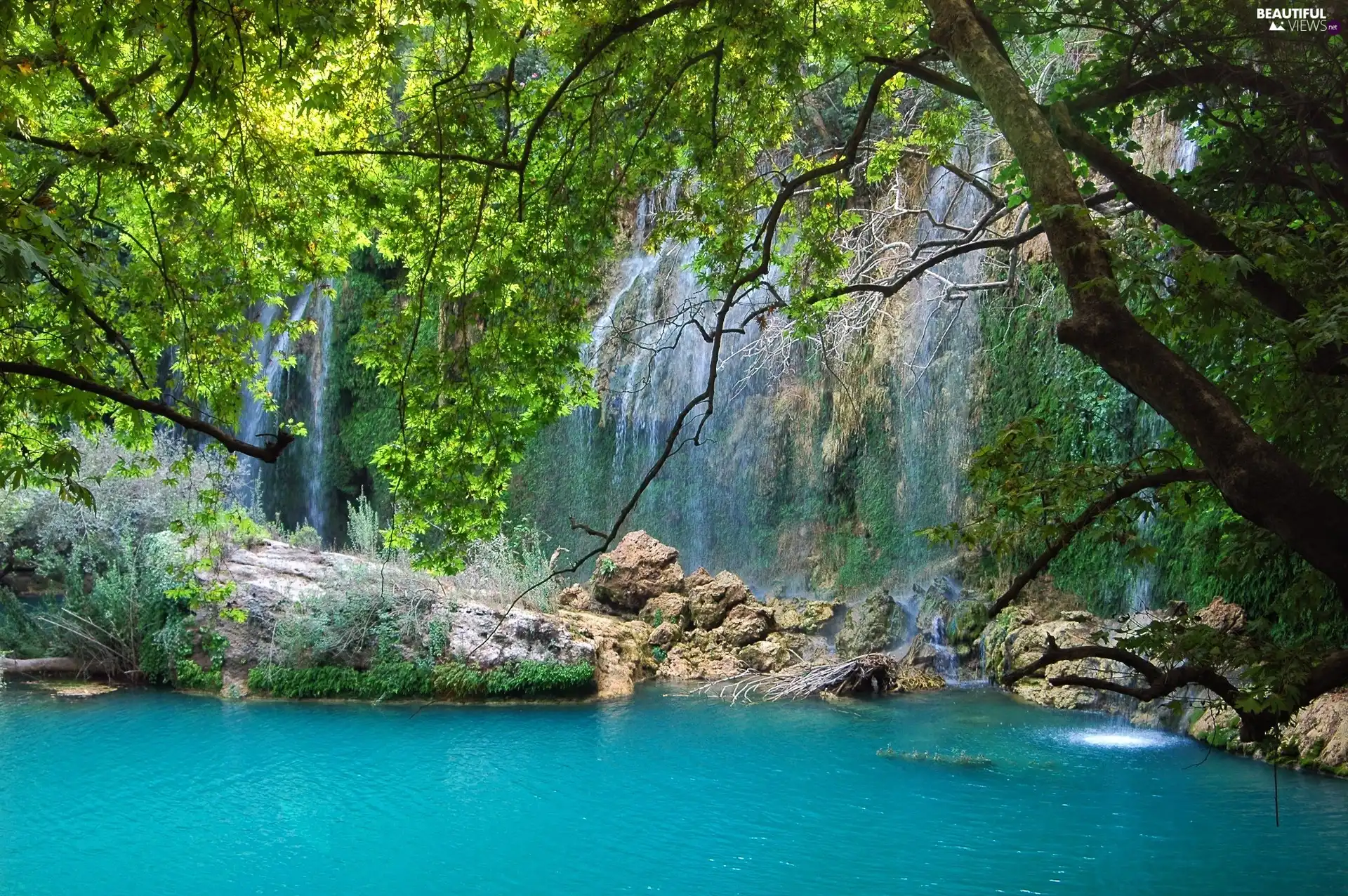 waterfall, trees, viewes, lake