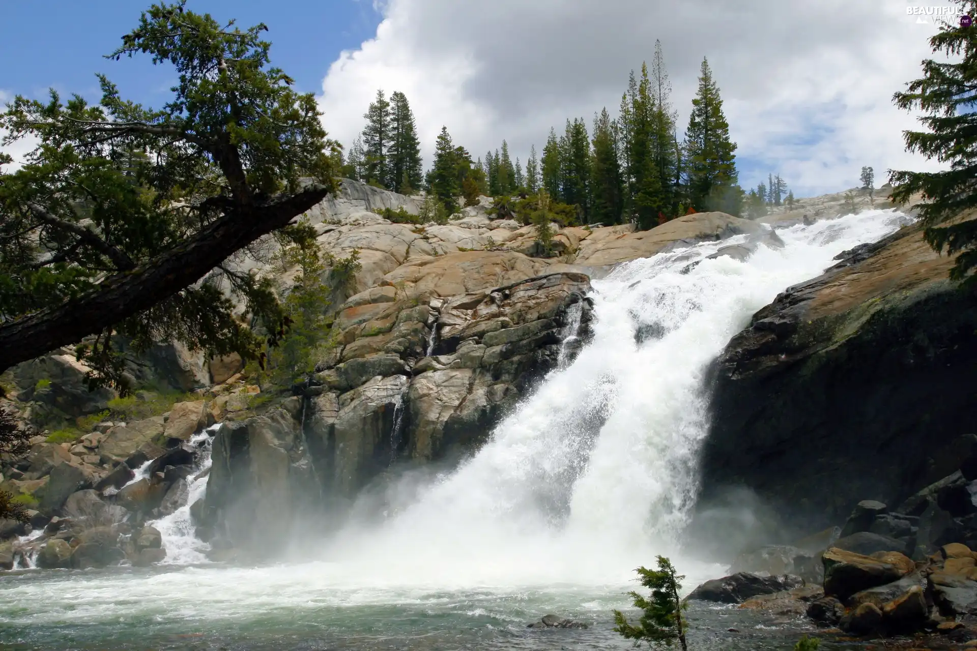 waterfall, trees, viewes, rocks