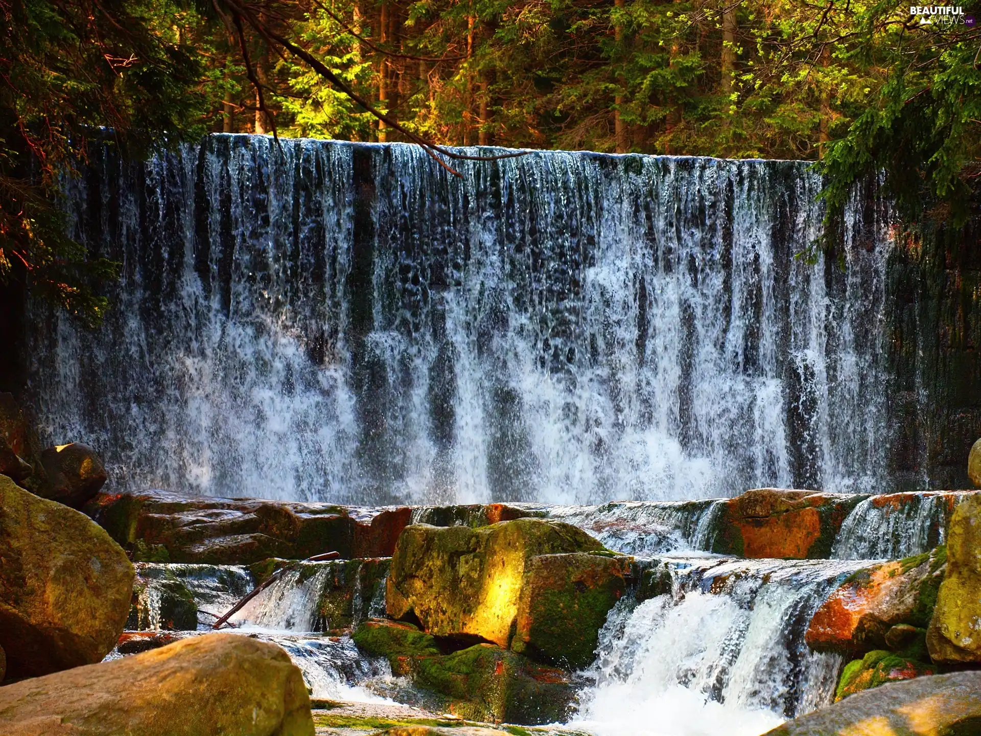 waterfall, trees, viewes, rocks