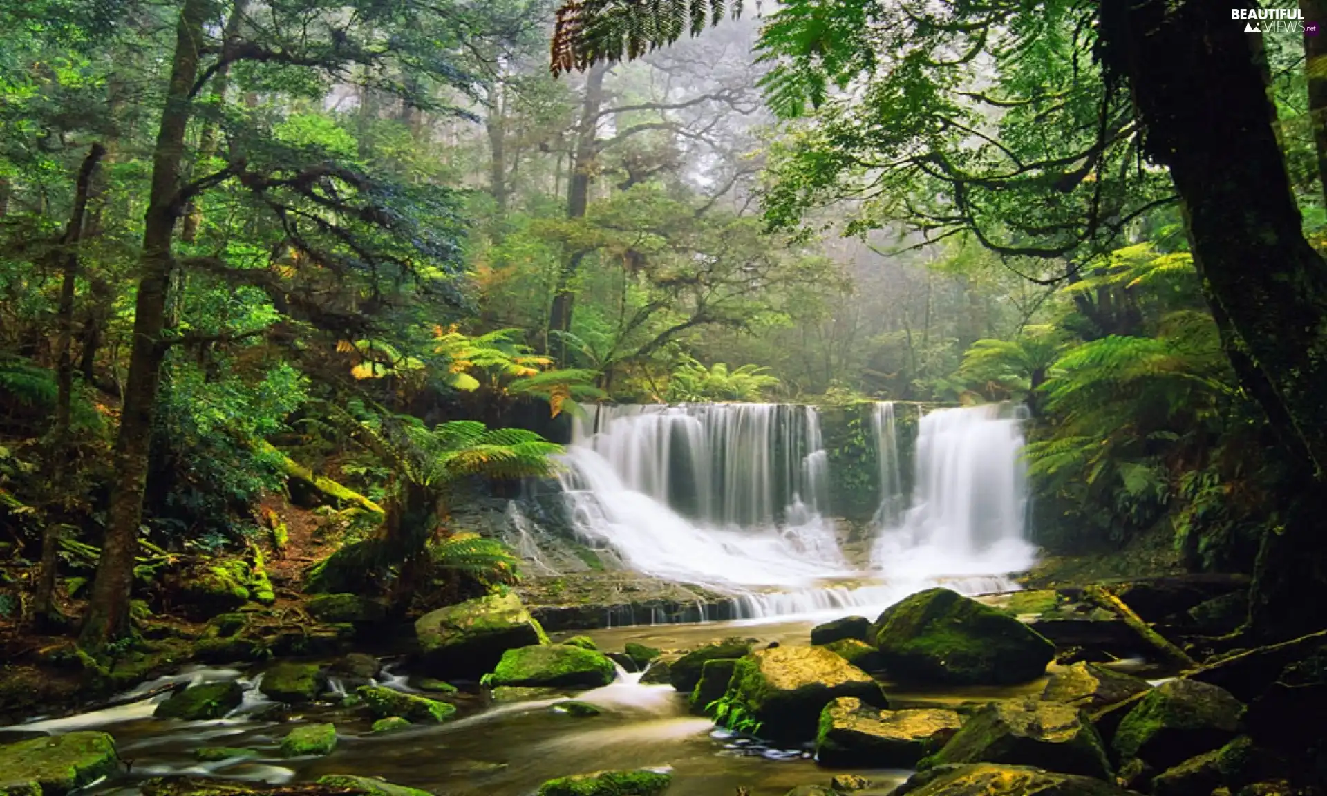 waterfall, trees, viewes, Stones