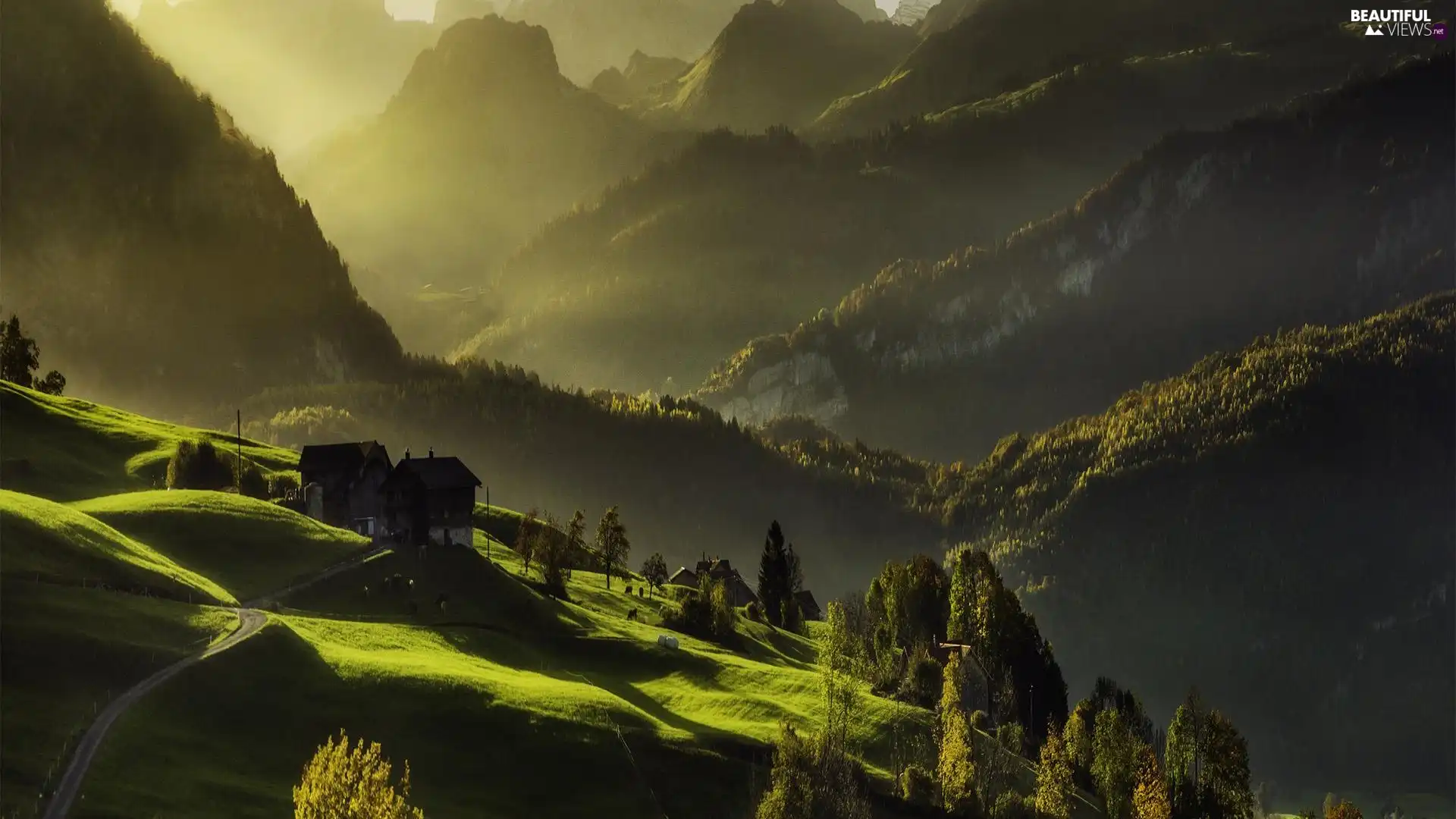Meadow, Mountains, viewes, Way, trees, farm