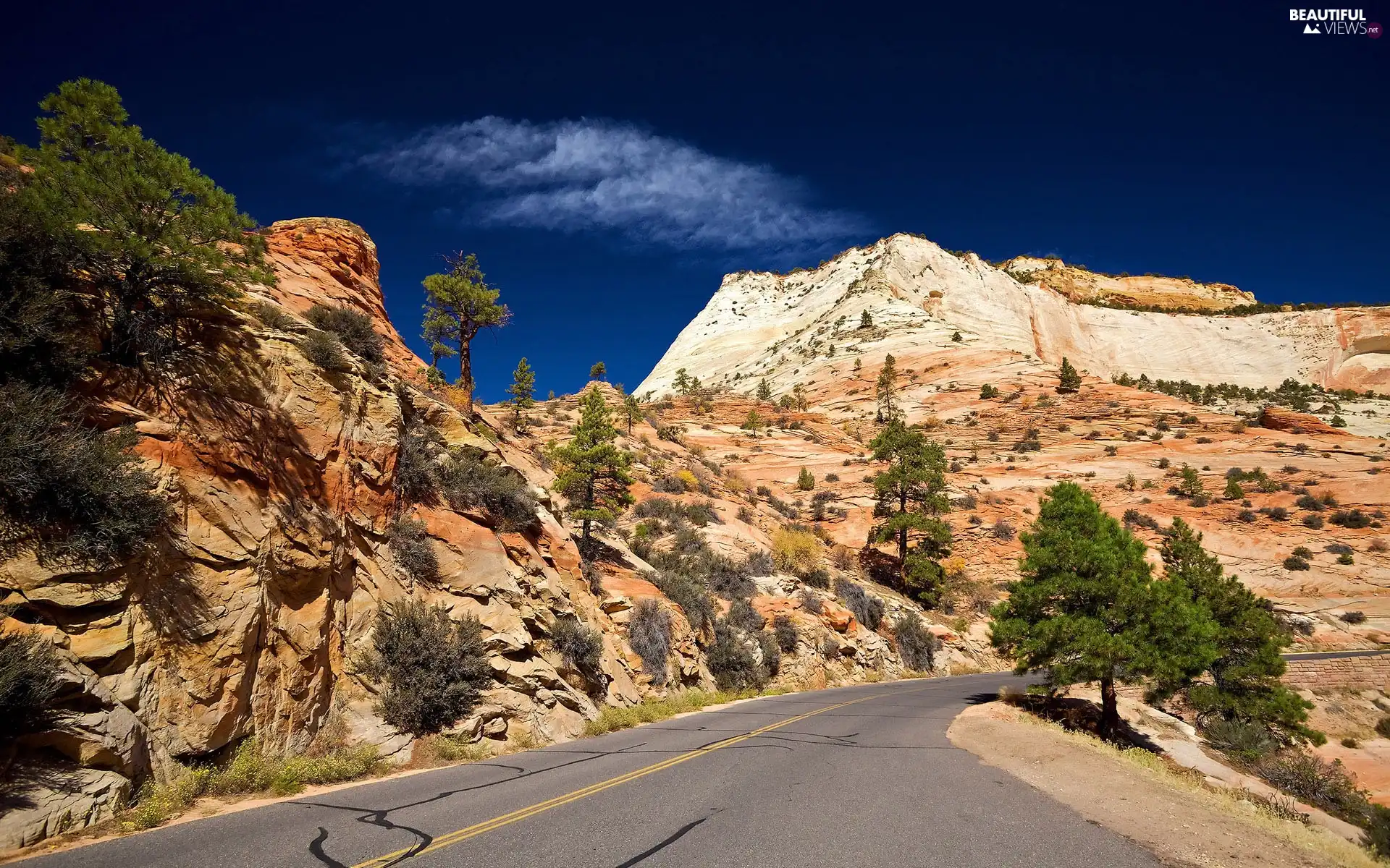 Way, trees, viewes, rocks