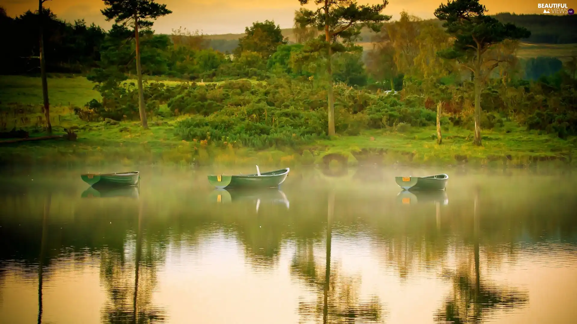 boats, lake, viewes, west, trees, Fog